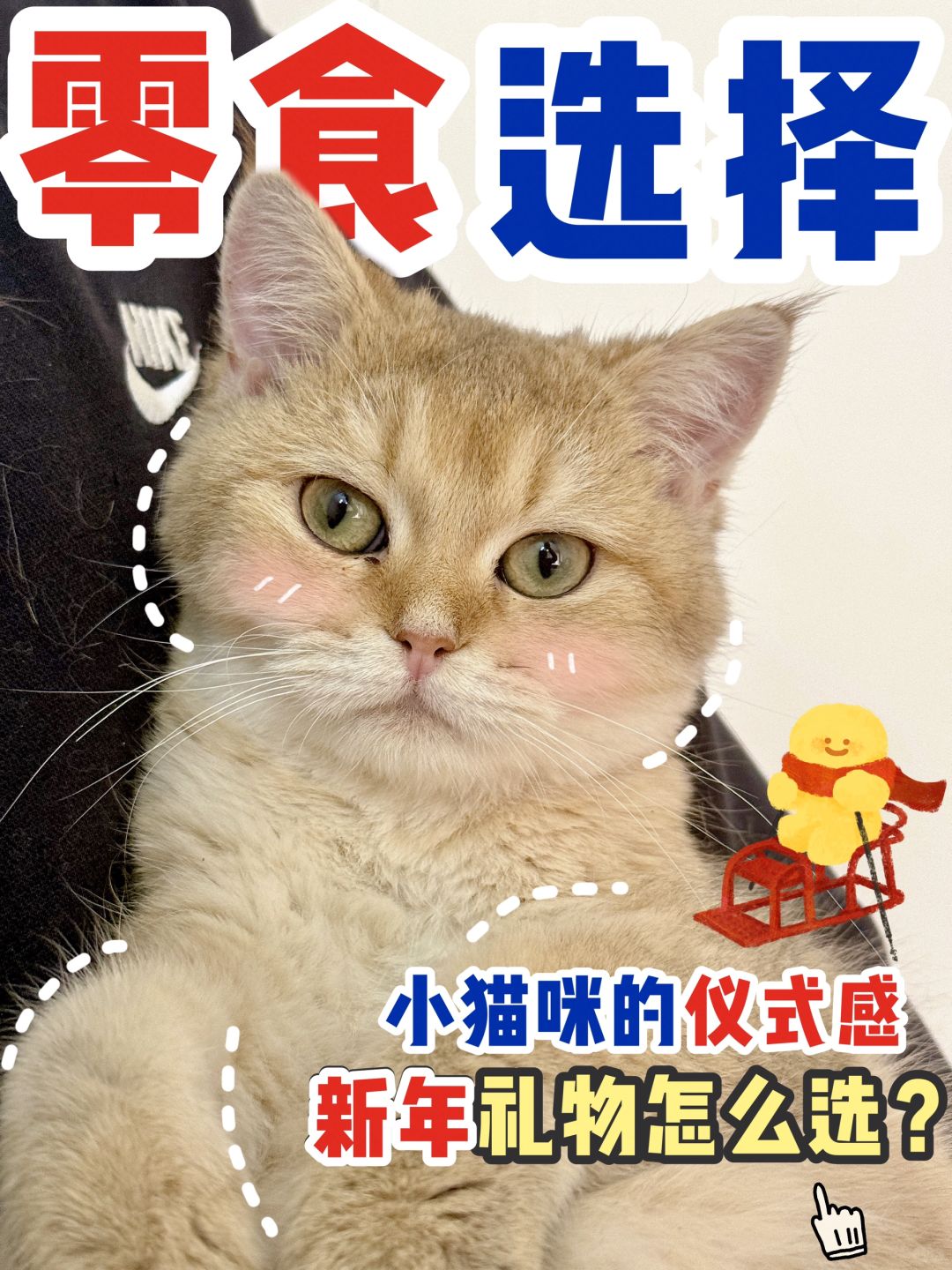 Happy New Year ! 小猫咪的新年礼物🎁