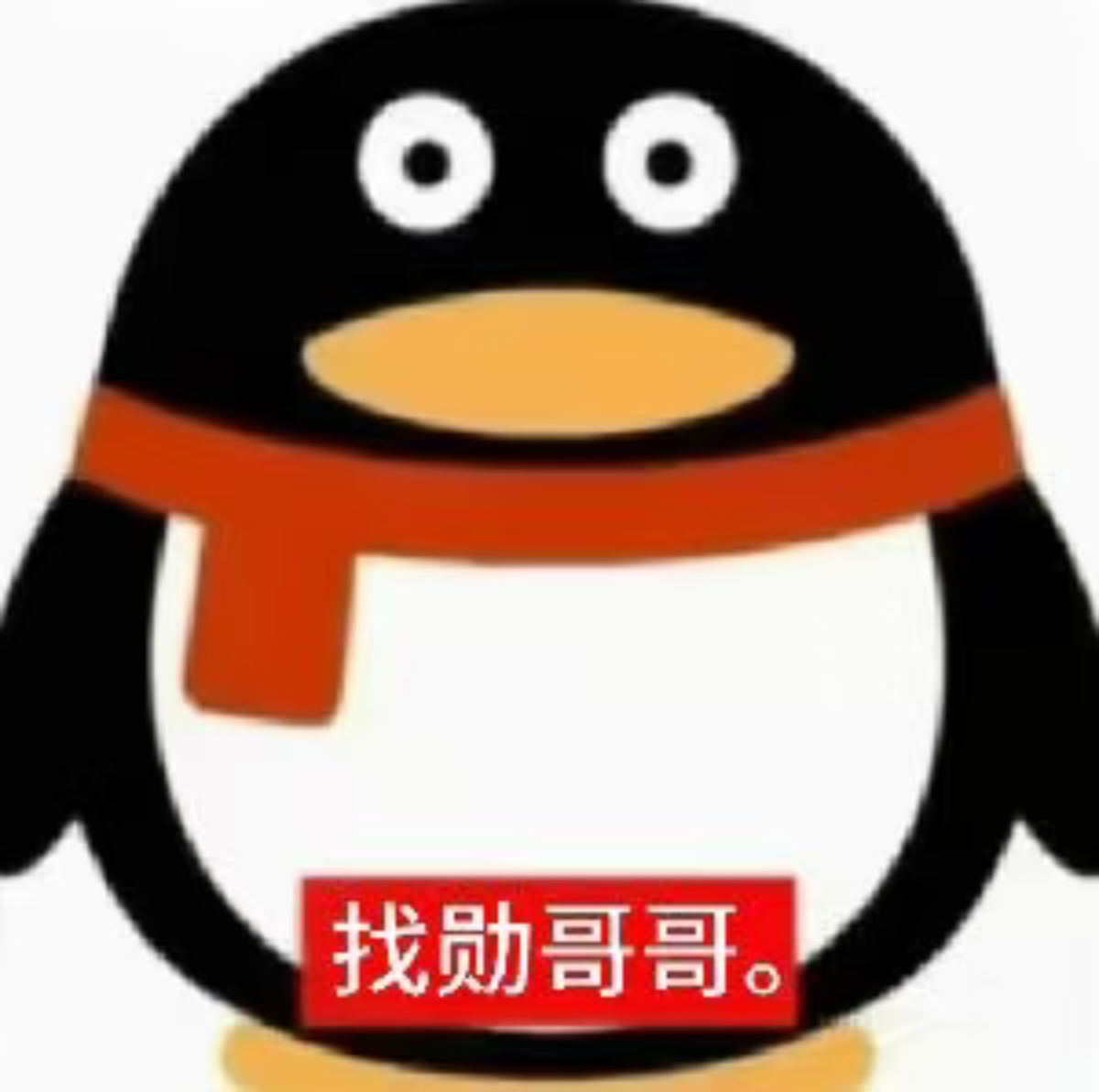 ip变！ 杭州