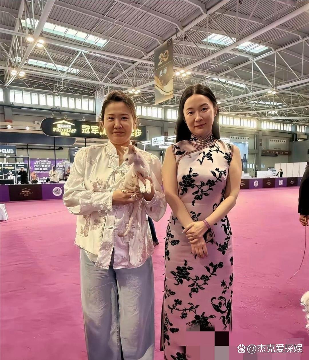 霍思燕生图也太真实了 