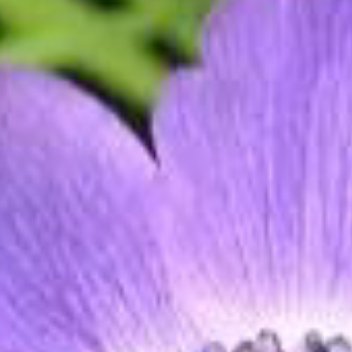 正能量人不是靠心情活着，而是靠心态活着。物随心转，境由心造，烦恼皆由心生。过去的