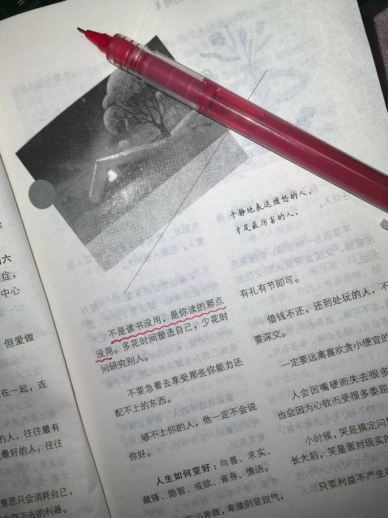 不是读书没用，是你读的那点没用一句顶一万句好书推荐