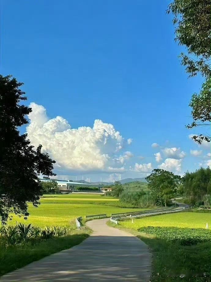 晒图笔记大赛火热的天，连一点丝风都没，在家实在无聊，捣鼓点菜来烧烧，来杯冰啤，午