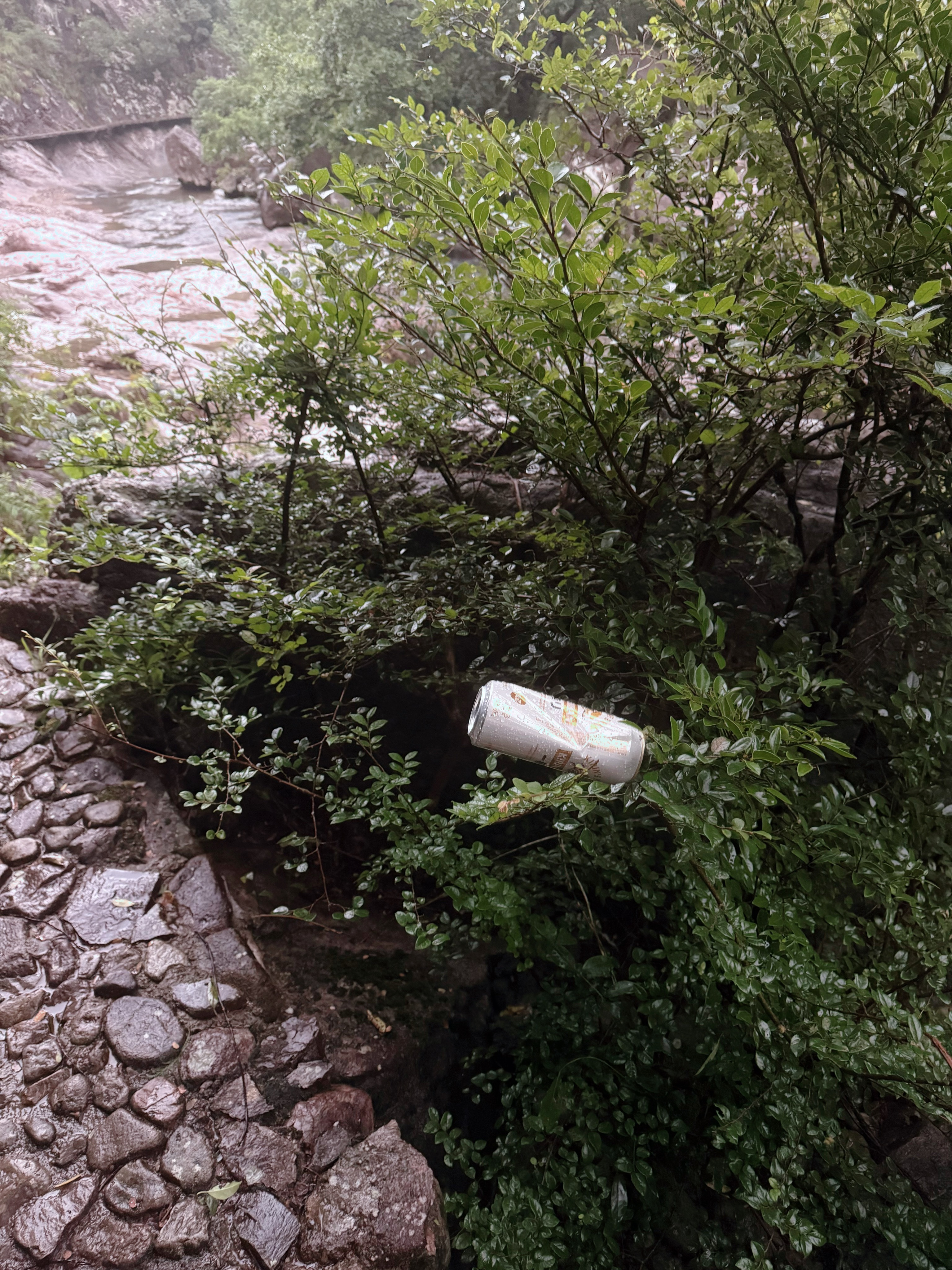 虽然之前有过5.5km走去山脚➕爬完➕5.5km回家但今天毫无平路的爬坡➕下坡5