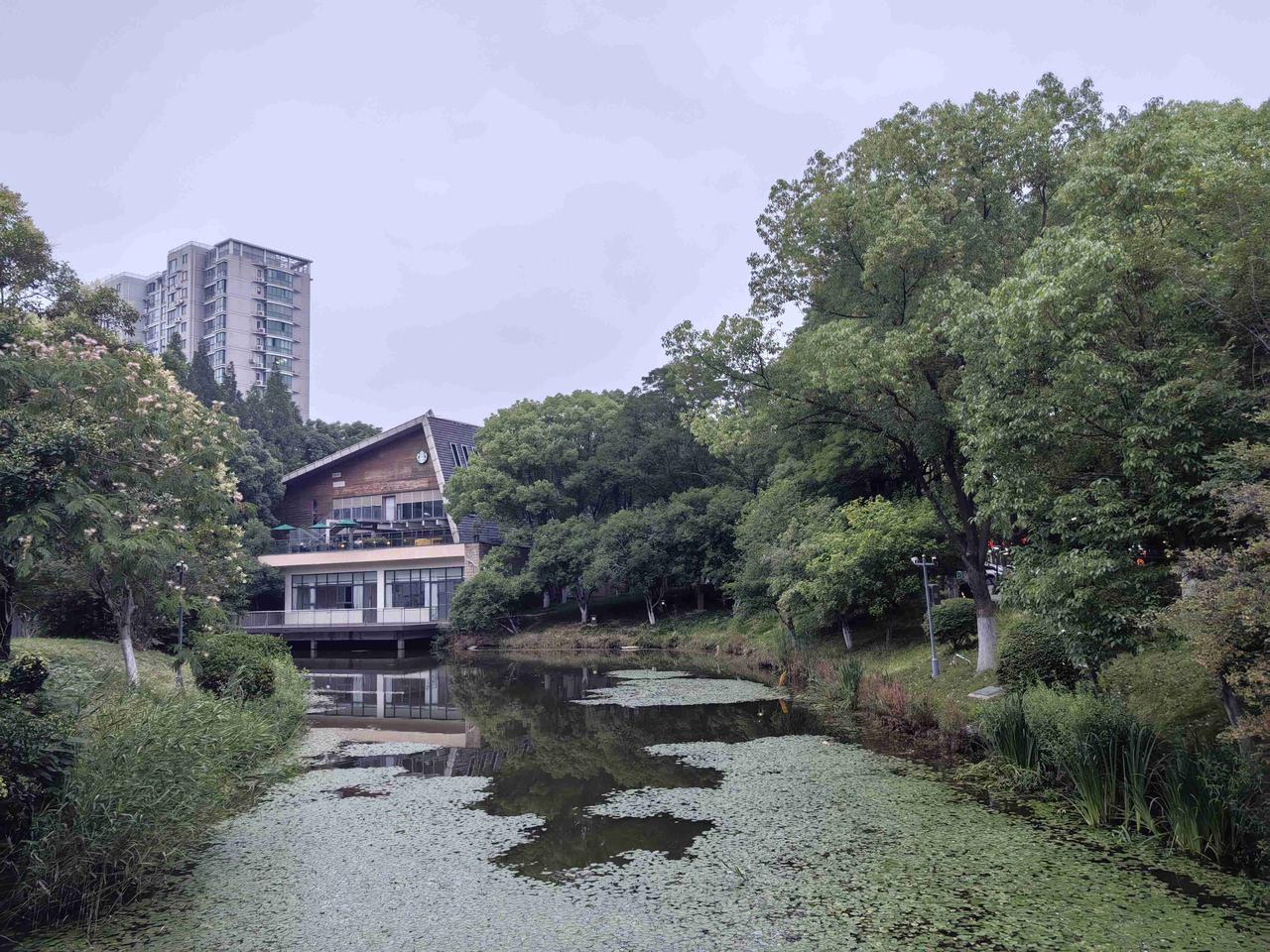 听说我们有个外地的同学回老家来养病了，心里一惊！

这个同学不是我曾经最在乎的好