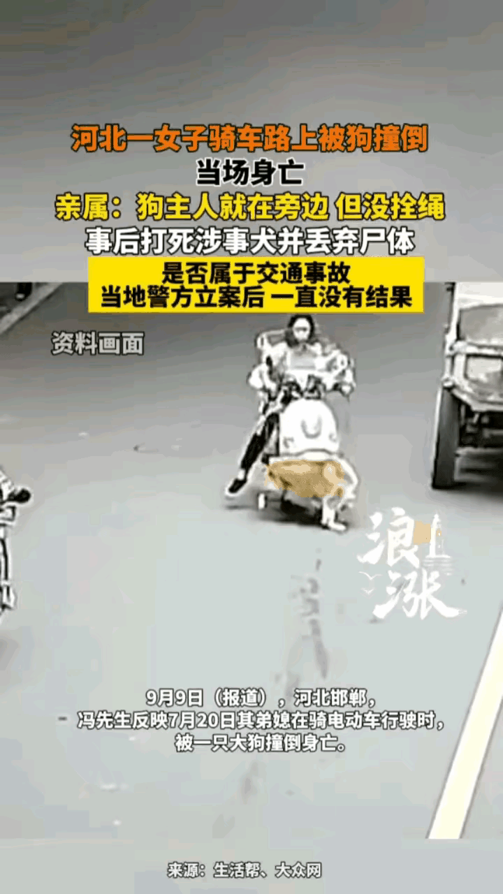 这个事故太惨了！河北，女子骑电瓶车直行，一条大狗突然从侧面横穿马路，把女子连车带