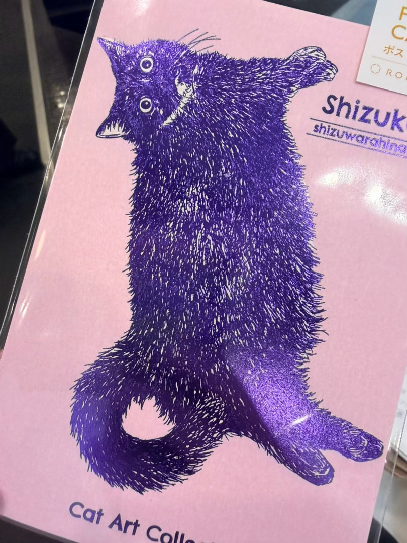 哦哦黑猫 