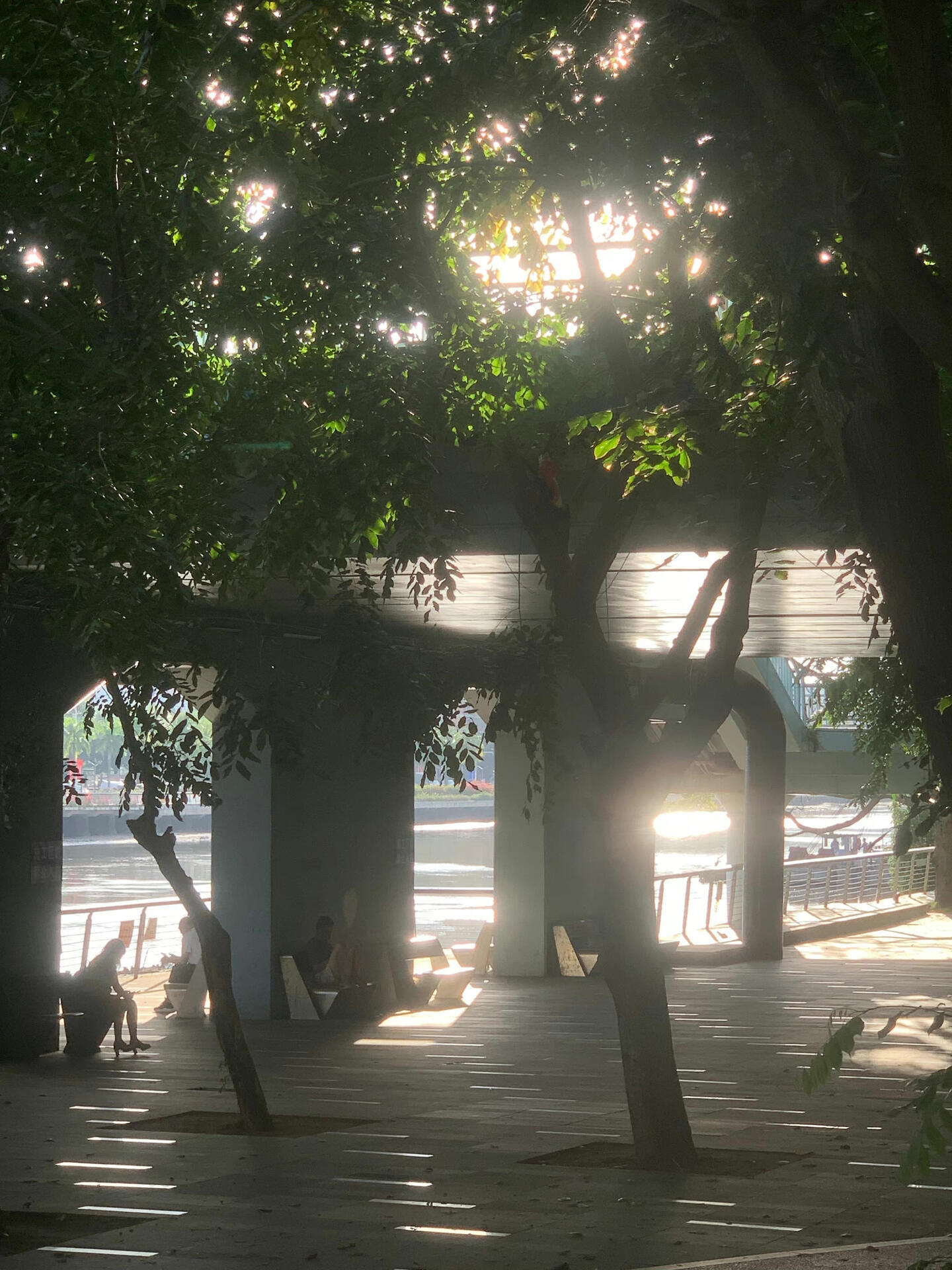 人类不能没有晴天