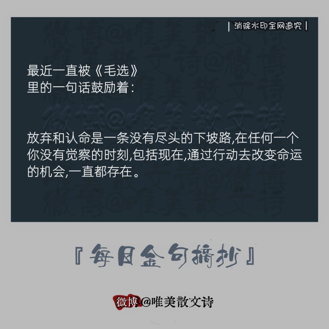 “最近一直被《毛选》里的一句话鼓励着。” 
