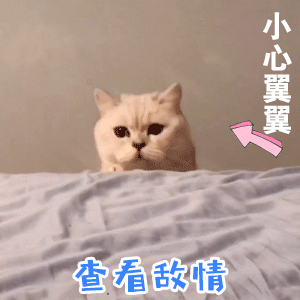 一万多网购泡泡玛特卖家不发货拒退款新型骗局？ ​​​