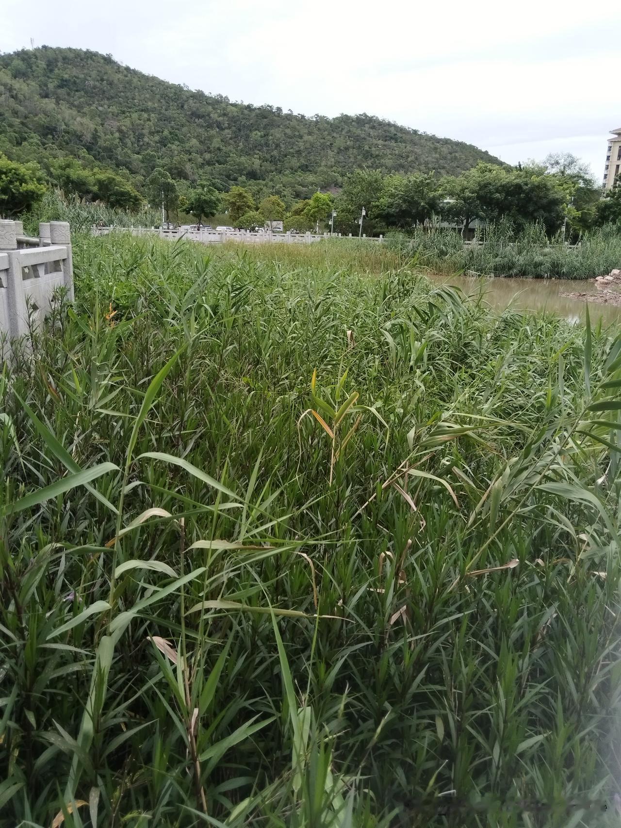 幸福和什么最有关系幸福和身体健康指数最密切相关。