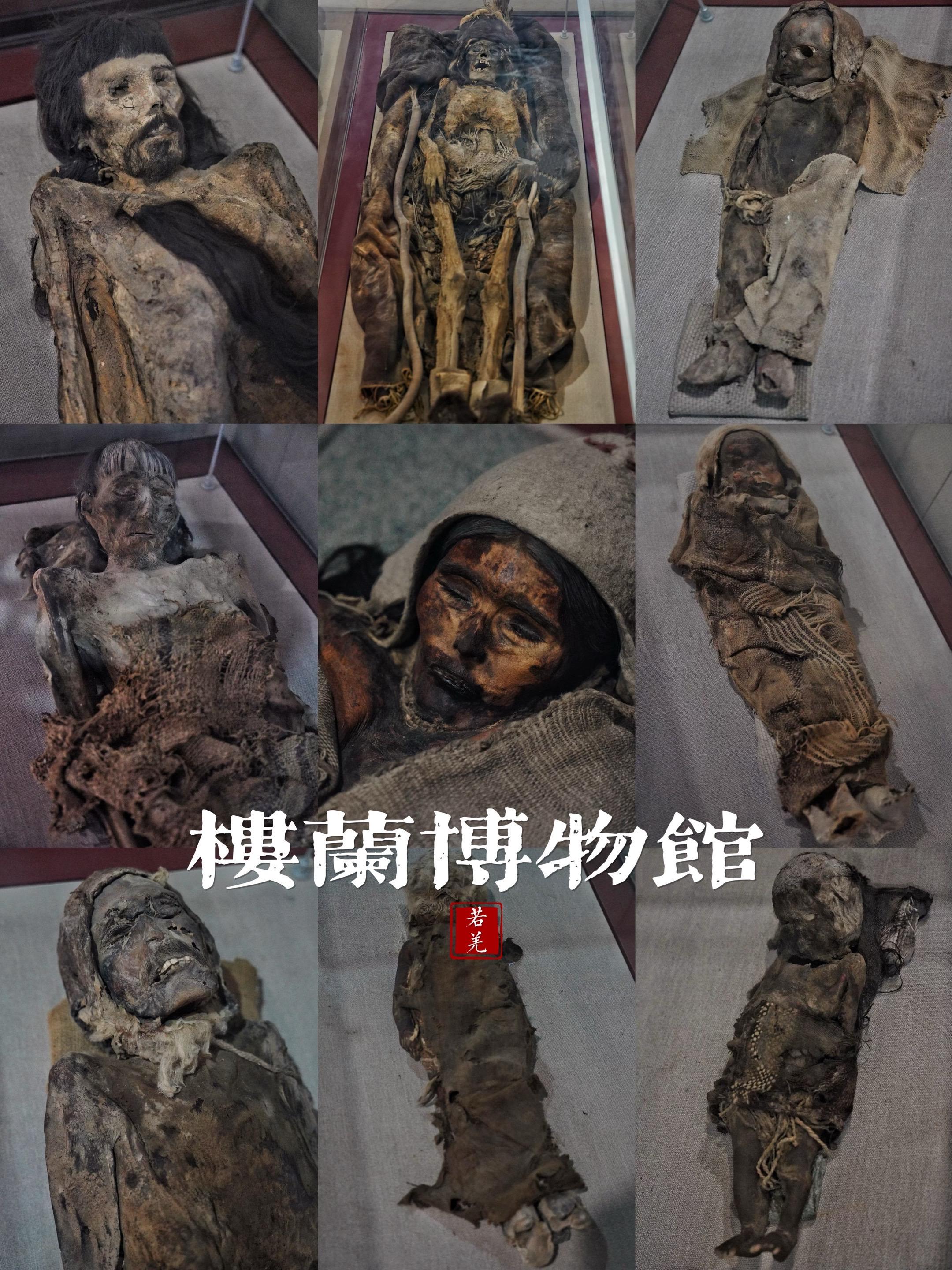 西域楼兰 东起阳关，西至精绝古城 南到阿尔金山，北至哈密 西域三十六国...