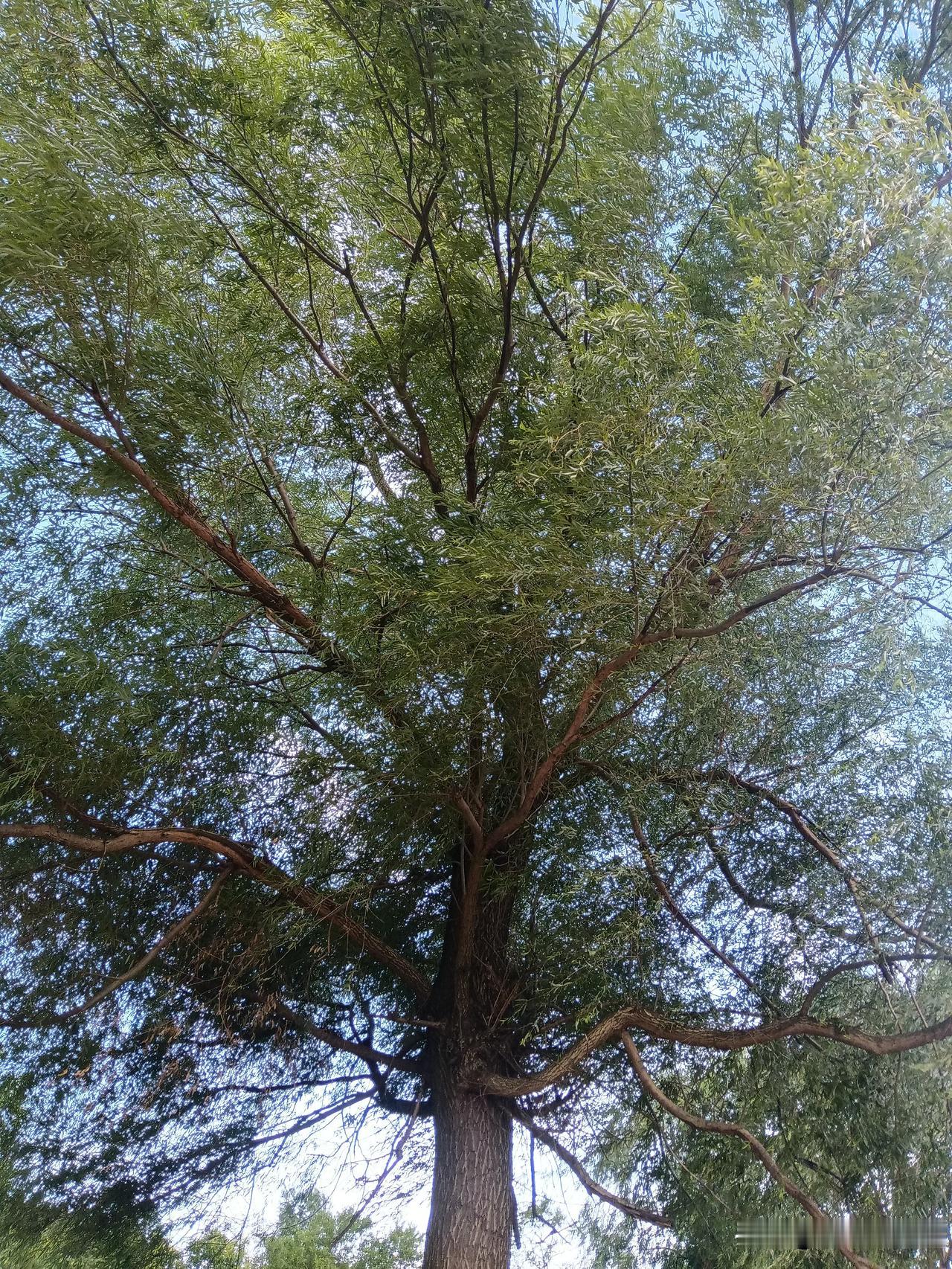 盯盘就是遭罪！

奉劝炒股的人不要去盯盘，尤其无时无刻，眼睛都不敢眨，生怕错过的