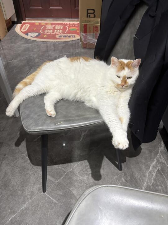 逐渐开始理解我妈……