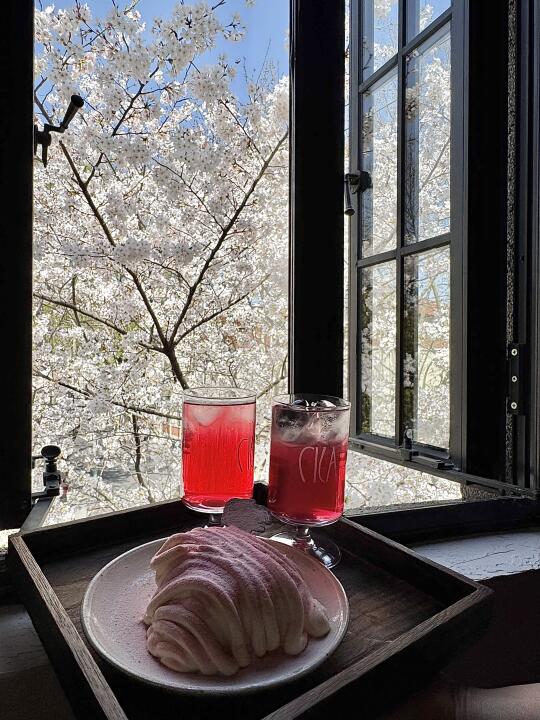 上海坠美樱花brunch🌸藏在小馆里的春和景明