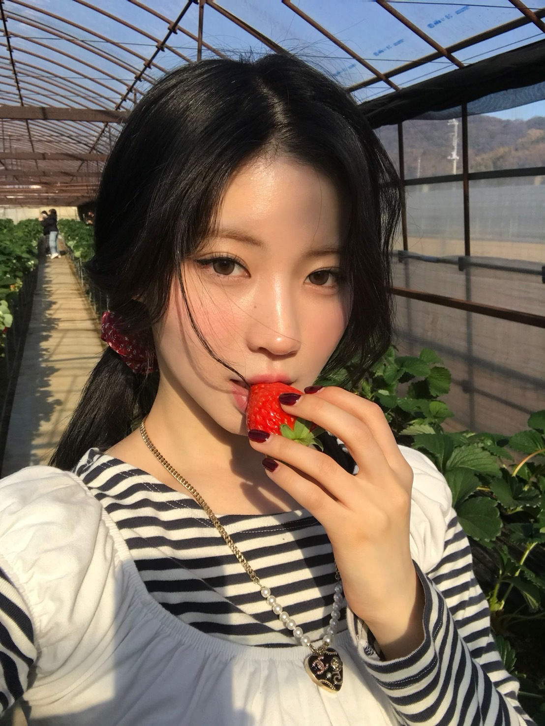 ASA₊⁺⊹🍓 