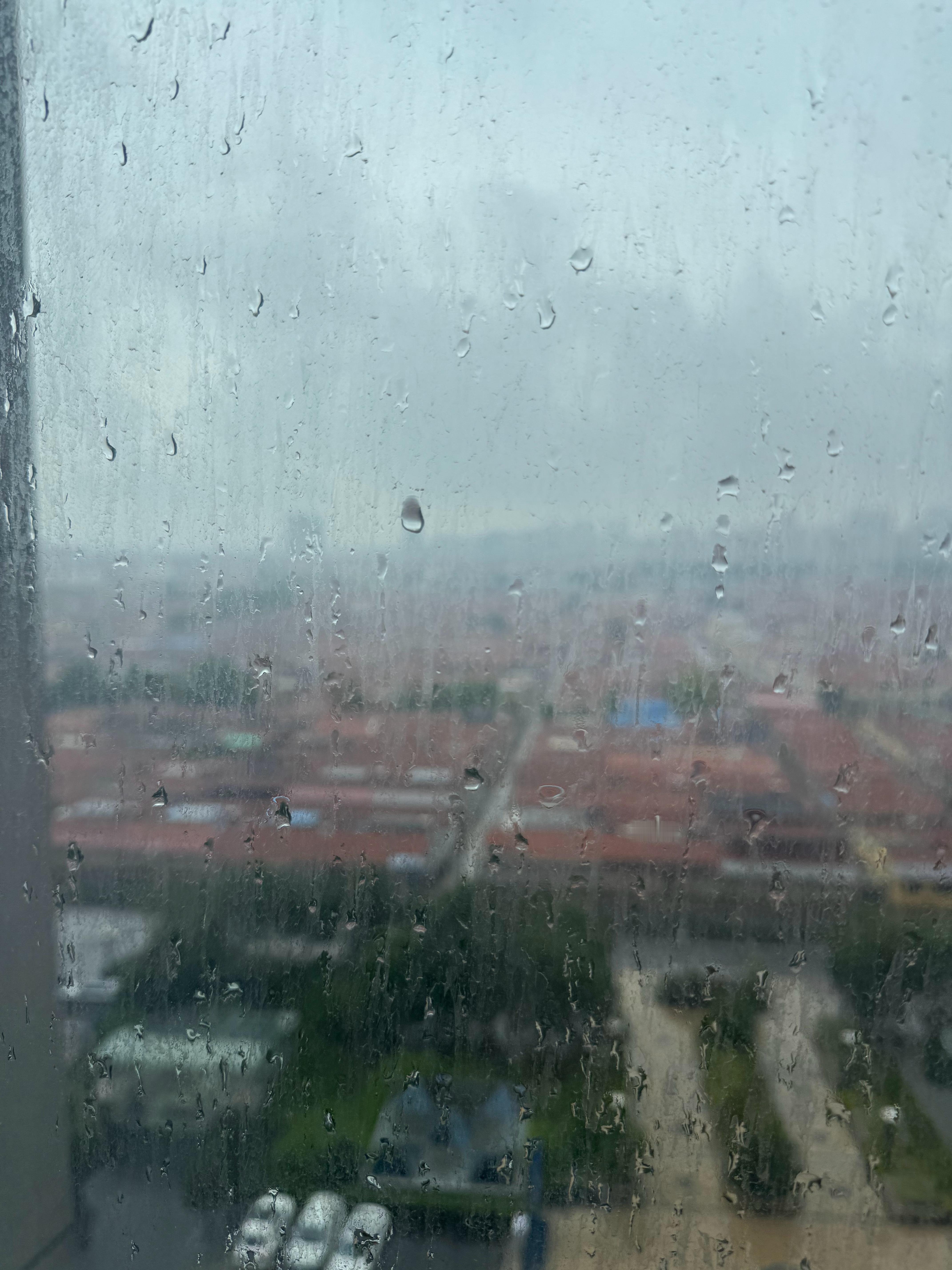 带小孩来青岛玩，一直下雨。[苦涩][苦涩] ​​​