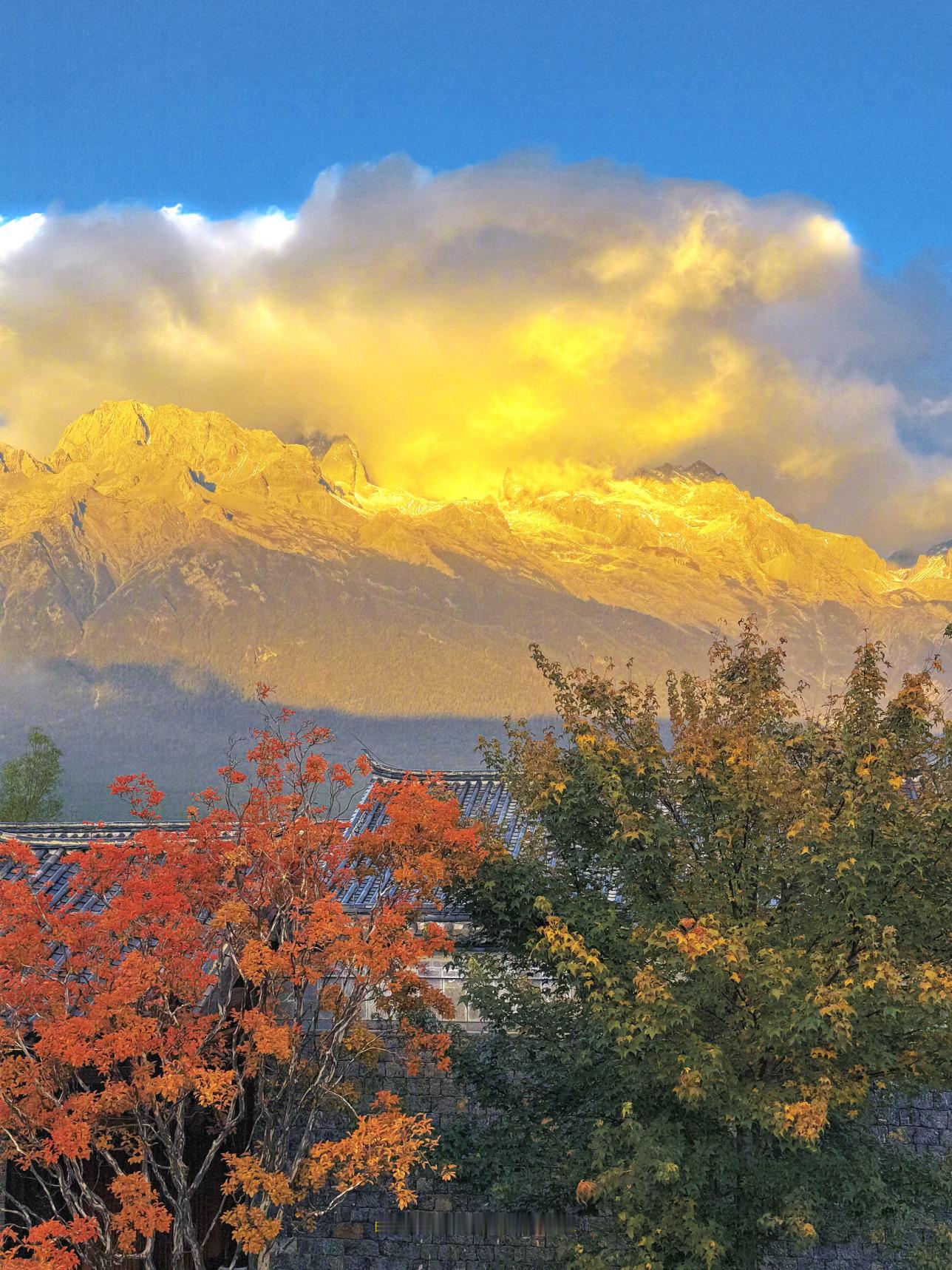 白鹿🌅 日照金山好运常在 ​​​