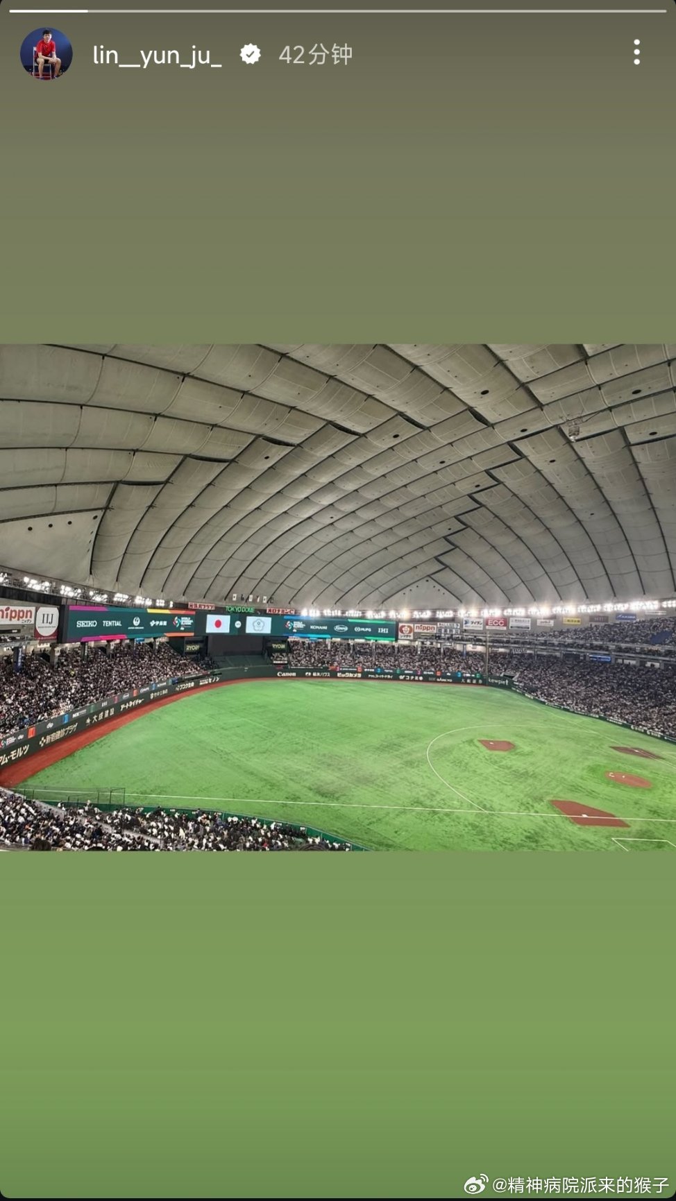 去现场观2026年世界棒球经典赛的林昀儒⚾ 