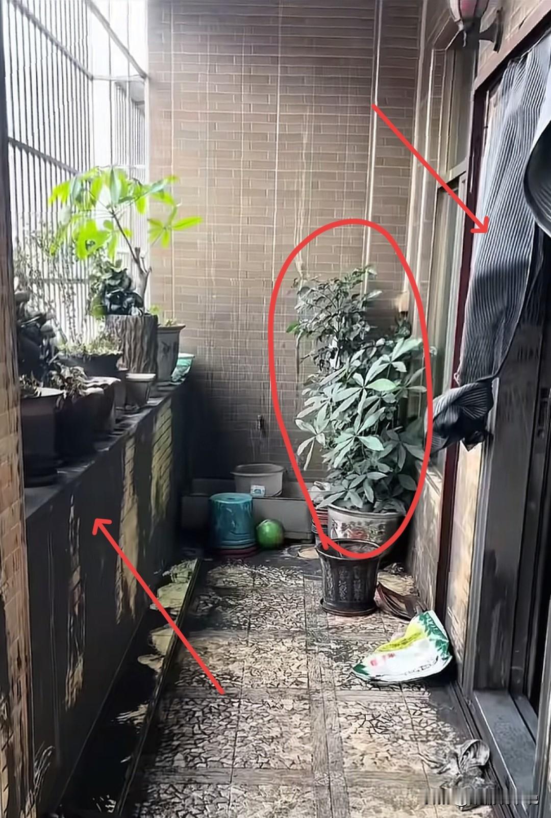 看了汕头火灾以后房屋的内部，才知道大哥大嫂的内心有多么悲痛，楼上的家具家电一件都