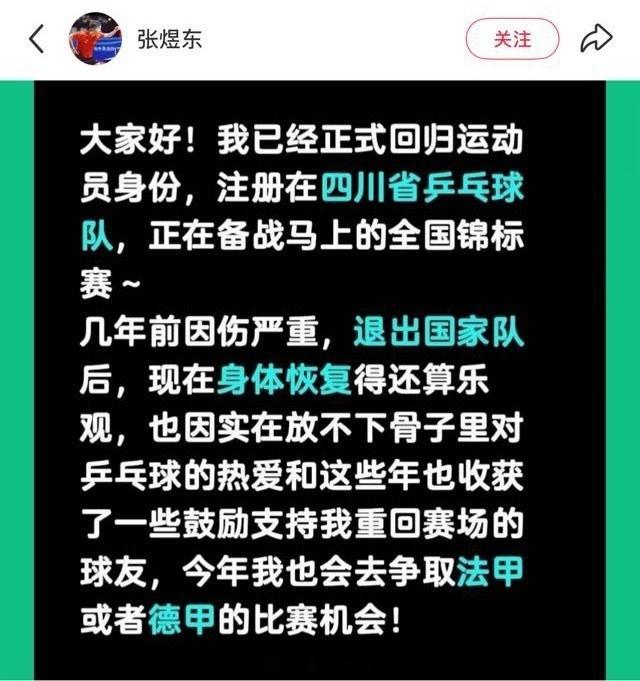 张煜东宣布复出 30岁前国乒选手张煜东宣布复出，称将争取法甲或者德甲的比赛机会前