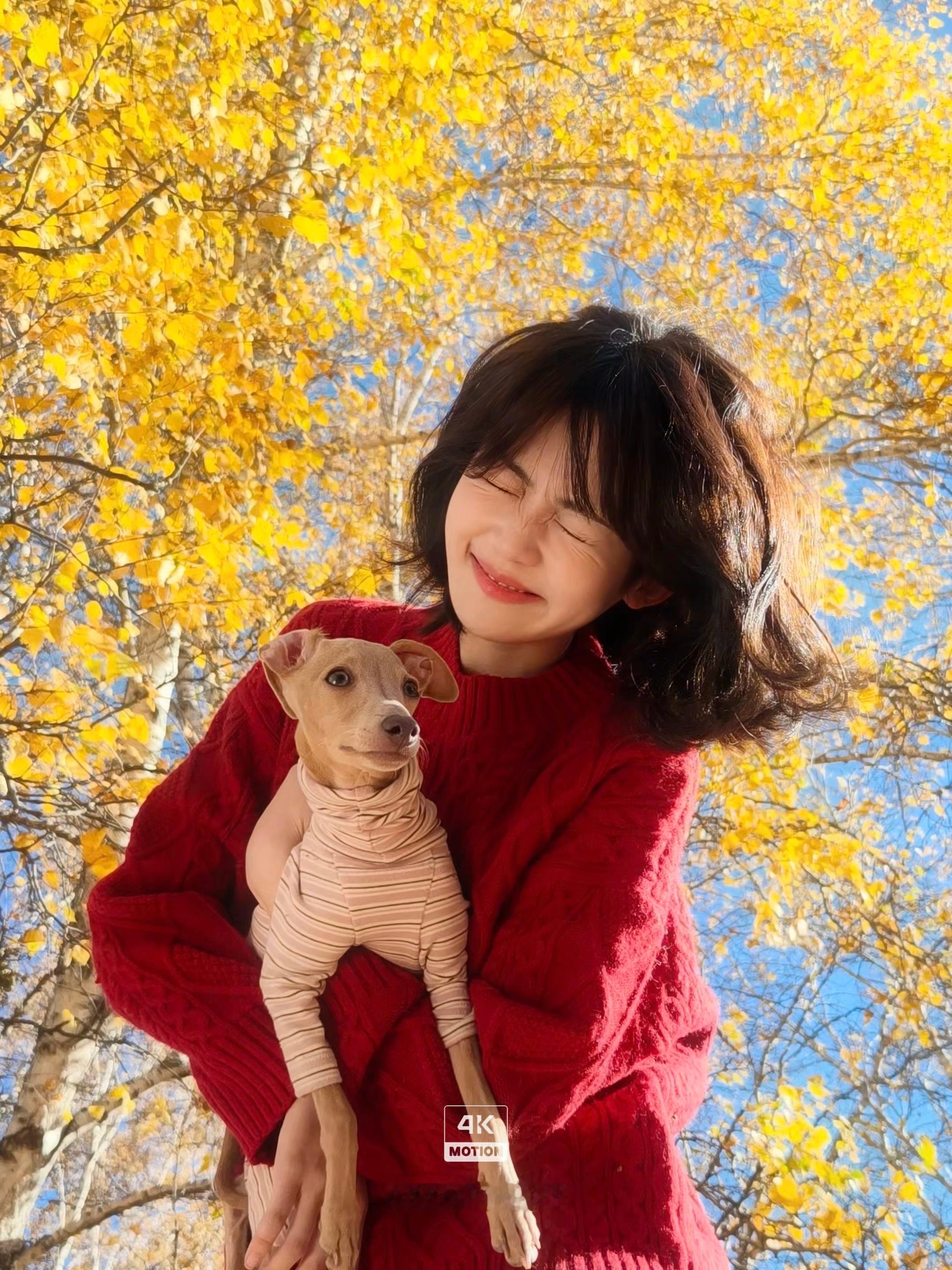 我站在暖阳里，用4K live沾满一身秋天🍂治愈系秋天OPPOoppo fin