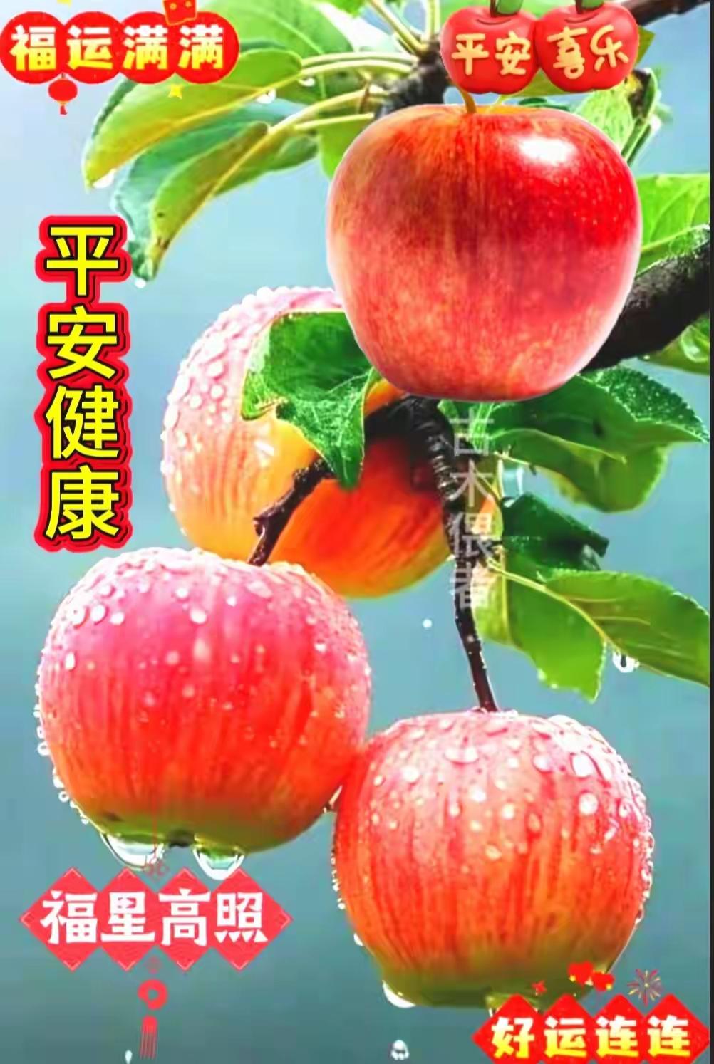 人最大的疲惫，从来不是身体累，而是心累。

身体累了，睡一觉还能恢复；可心累了，