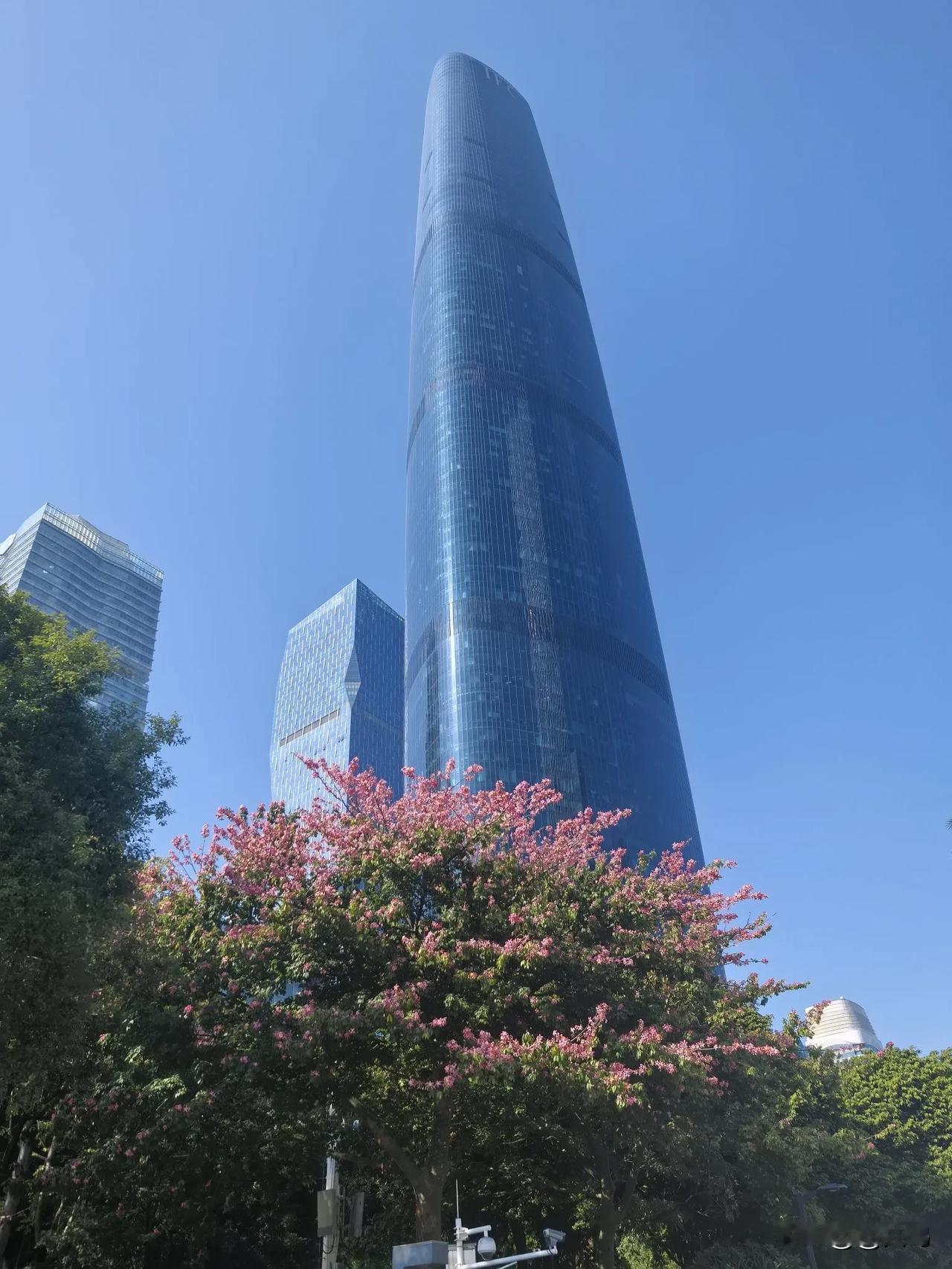 醉美花儿随手拍

我的治愈方式：拍花拍美景。
 
异木棉像一把粉色的大伞，撑开在