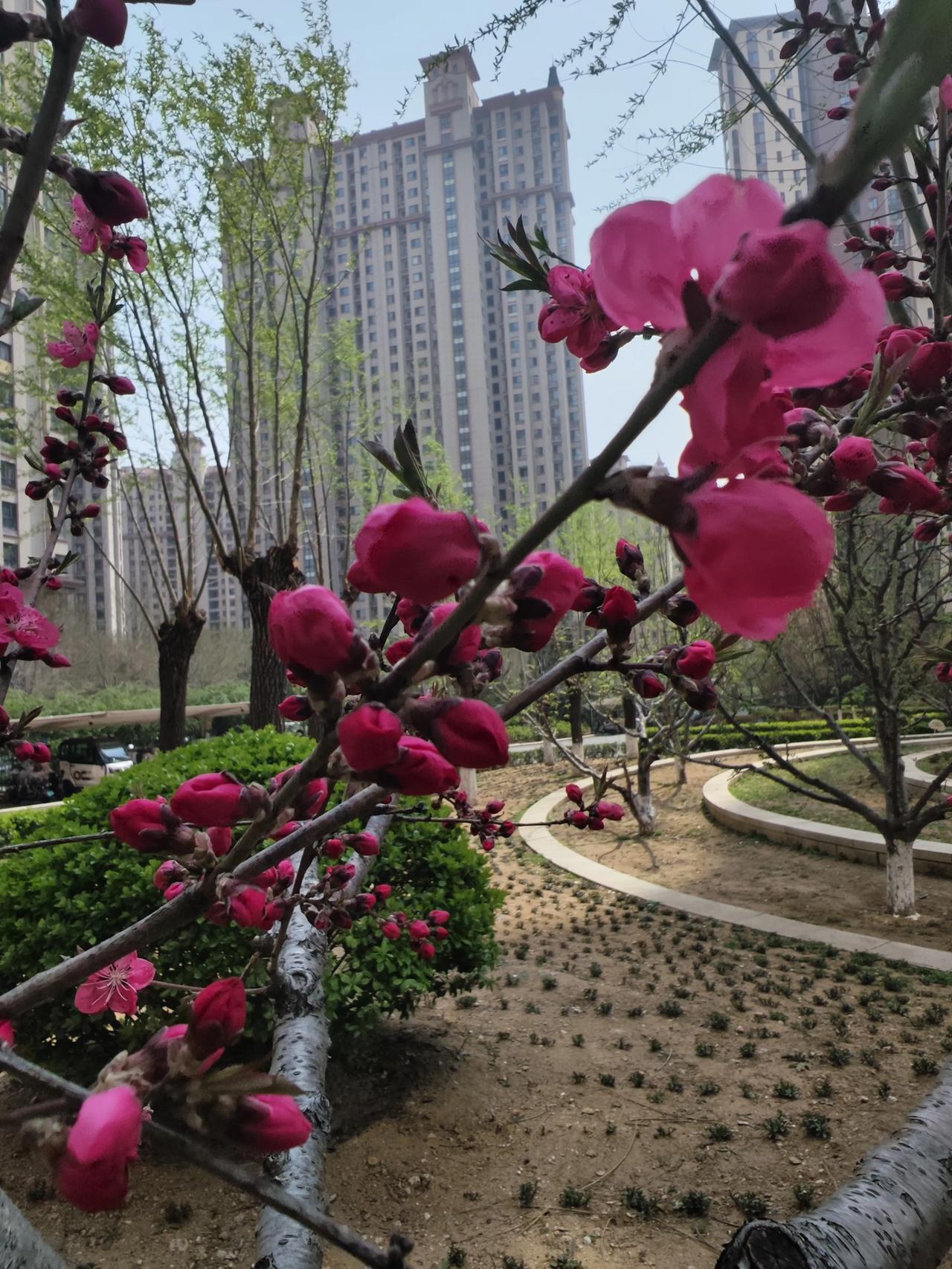 法国这个国家，什么事情都需要投票表决。
4月13日，法国投票表决关于中国文物的归