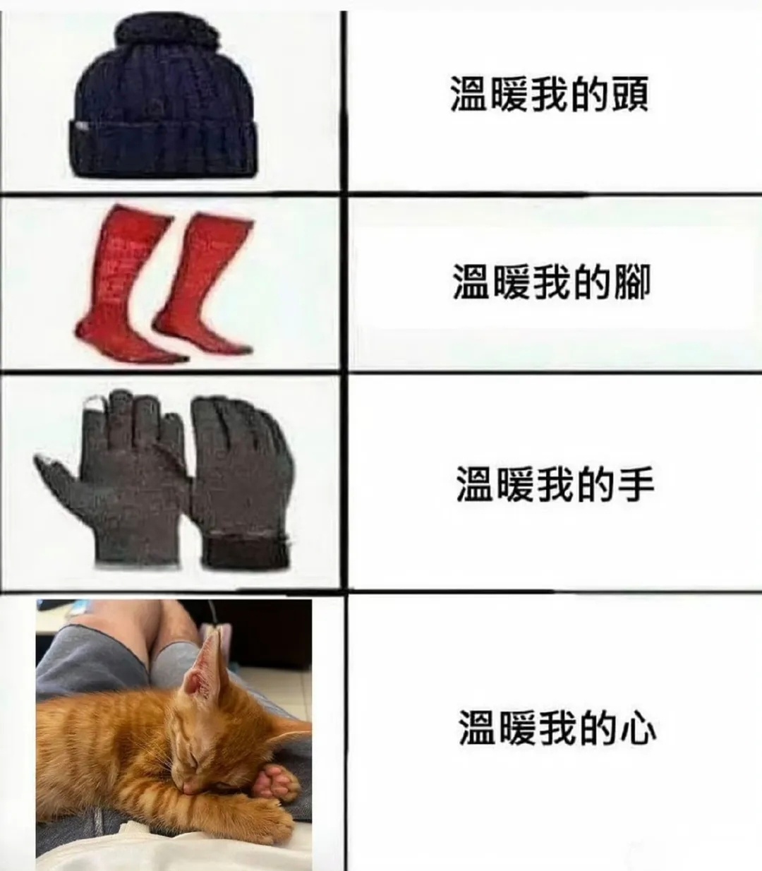 有小猫真好猫meme ​​​