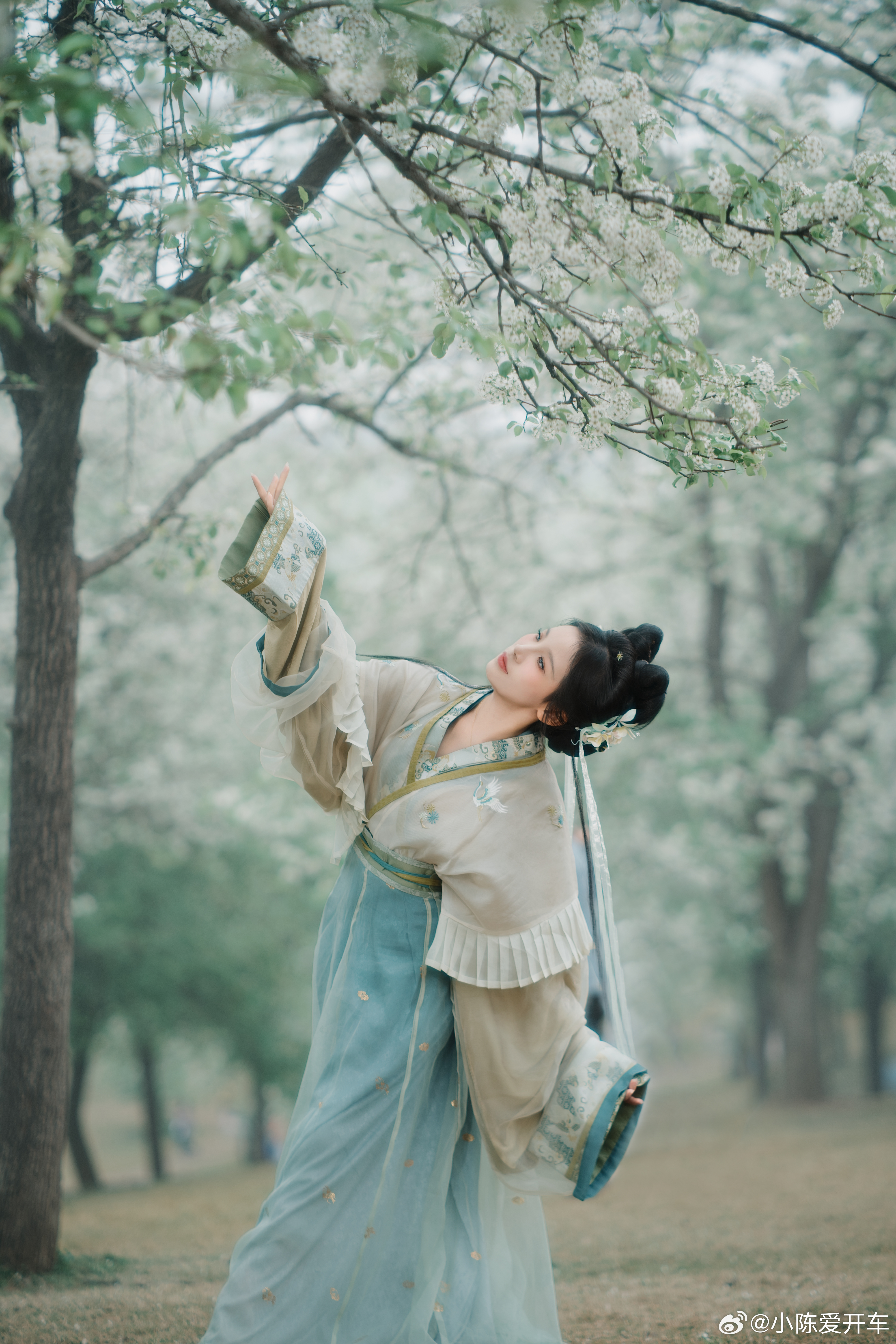 二月梨花雨，落花飞满地，青秀山的花花太多啦！汉服春游去