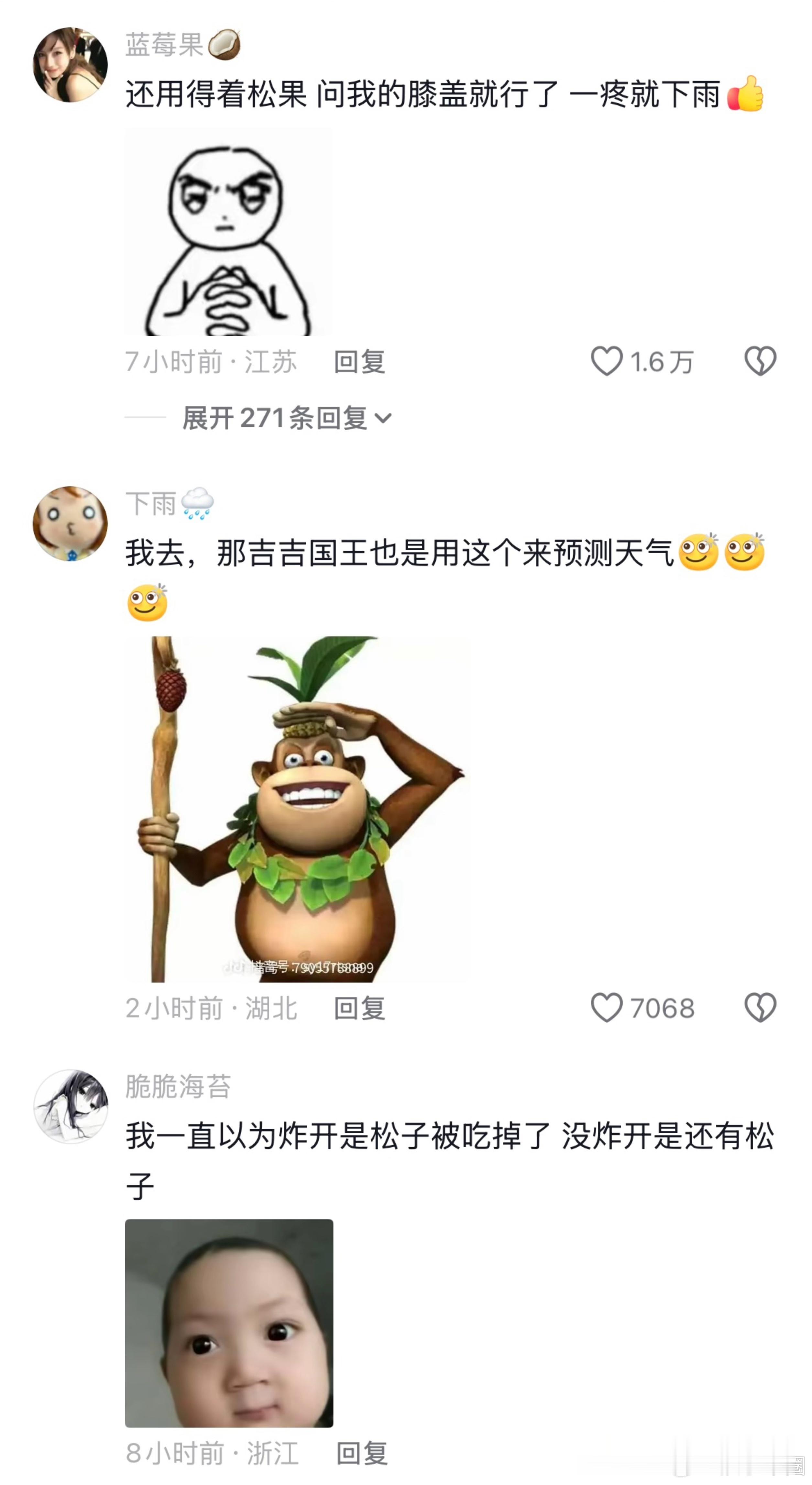 家业 《家业》诚不欺我，原来松果真的能预知天气 ，我小时候以为裂开是因为太阳太大
