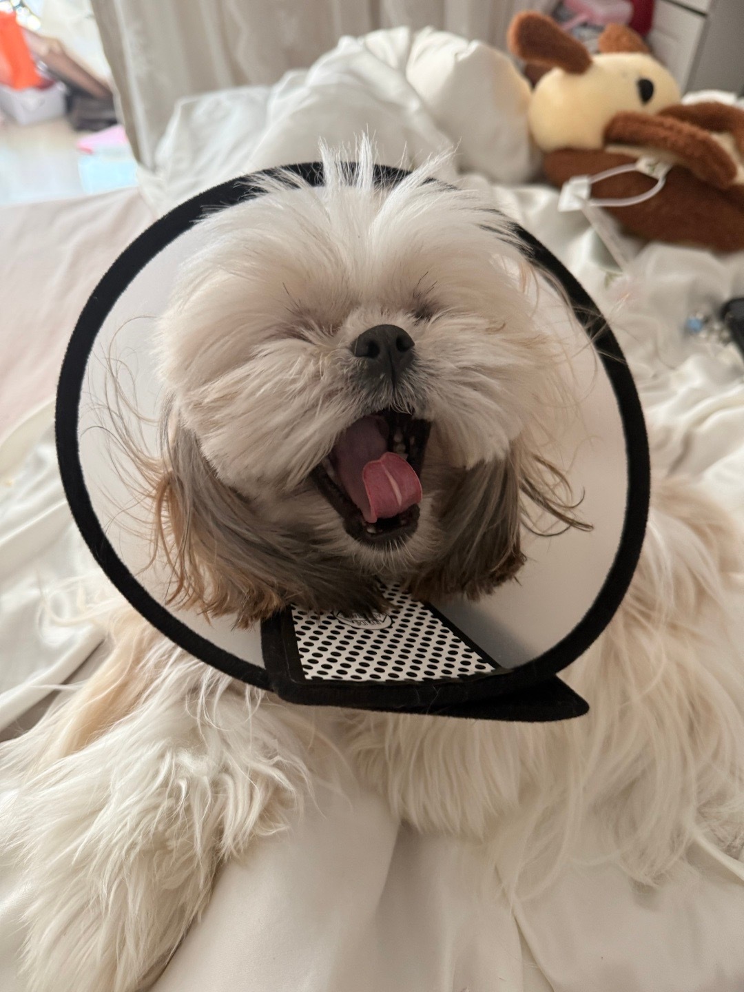 开始学会了把工作和生活分开 ​​​