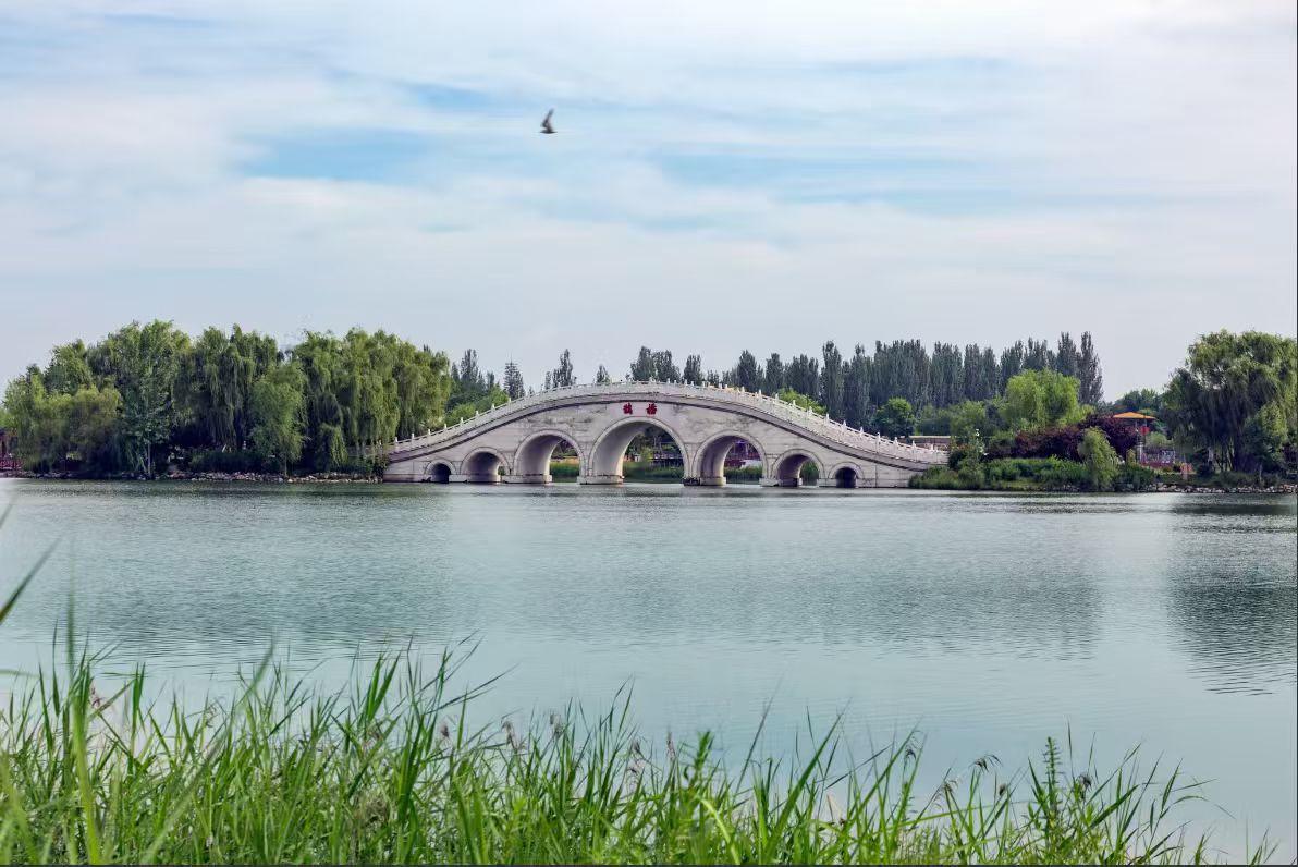 分享你随手拍的风景湖面平静如镜，七孔石拱桥静卧碧水之上，两岸垂柳与林木层层叠叠。