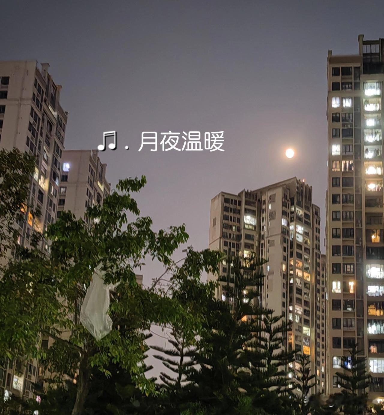 我们偶尔会一起去吃早餐，她吃早餐比较草率简单，通常是一杯豆浆一个包子就行了，不会