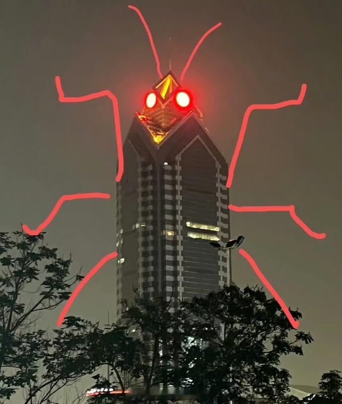 广东暴雨天蟑螂成群出动大惊小怪！广州更知名的蟑螂你知道都有谁吗？ 