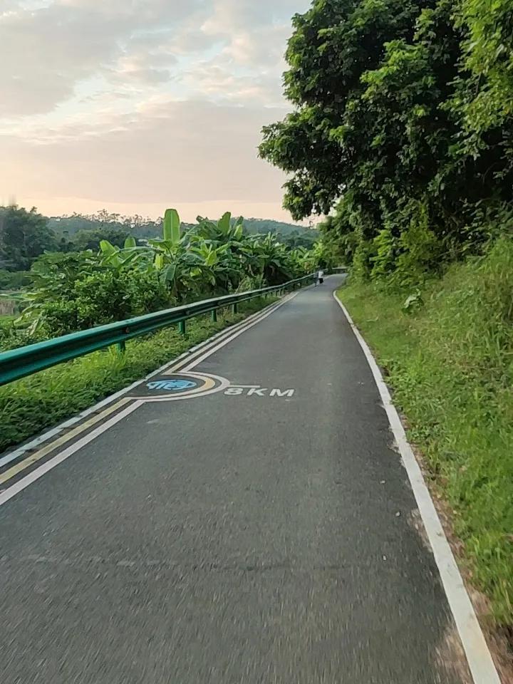 去年回浙西老家，发现村口那条走了二十多年的泥巴路彻底变了样。
以前下完雨，路面全