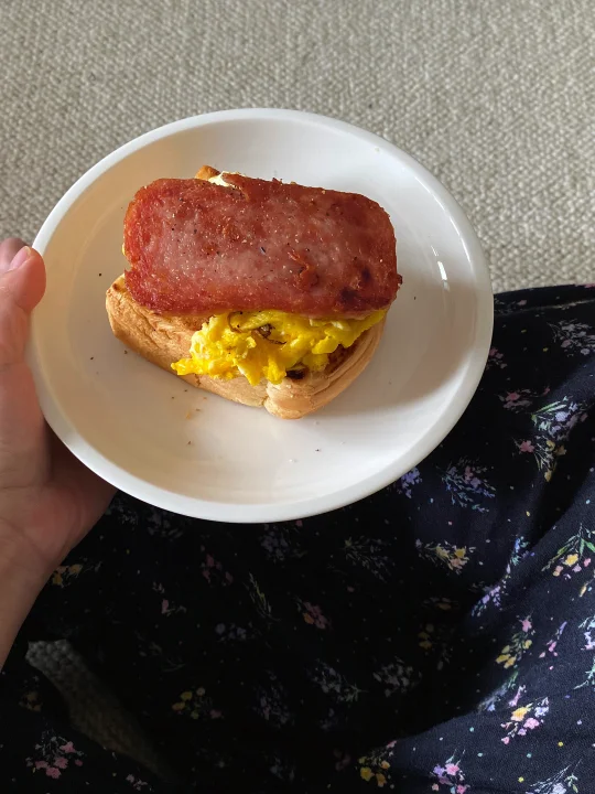 啊啊普通肉蛋🥪明道的做法竟然意外好吃！！！
