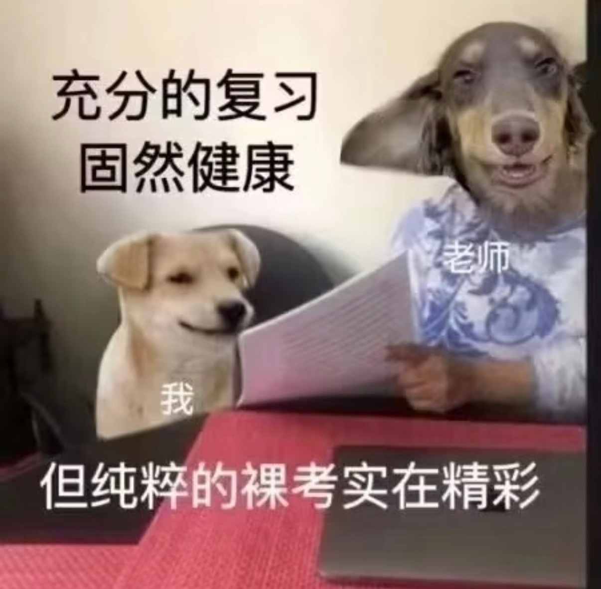 复习备考状态拉满期末真的会把人学出一种很新的状态：明明在图书馆坐了一整天，回头一