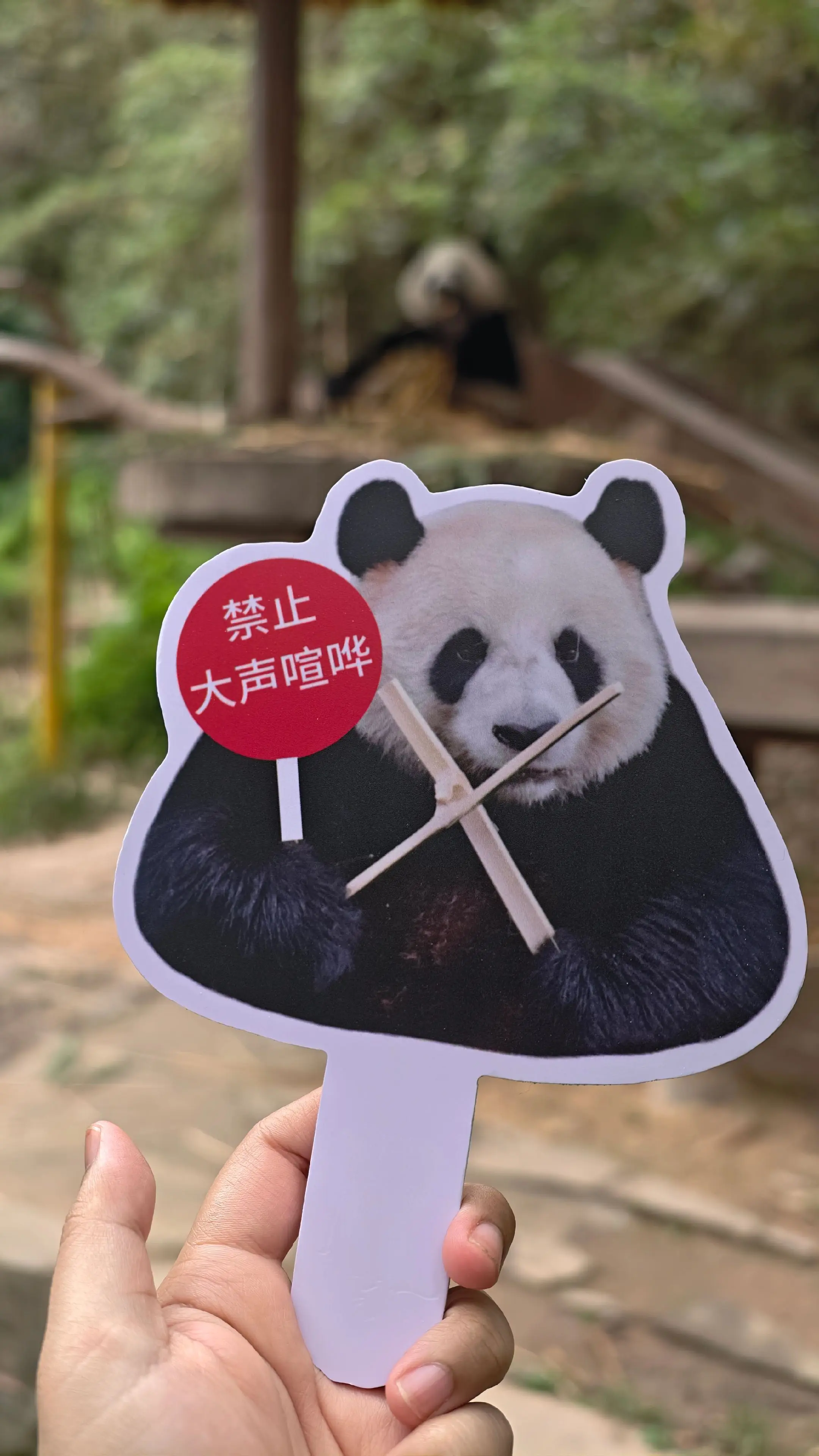 感觉这个周边挺好的。（借别人的来拍的。）