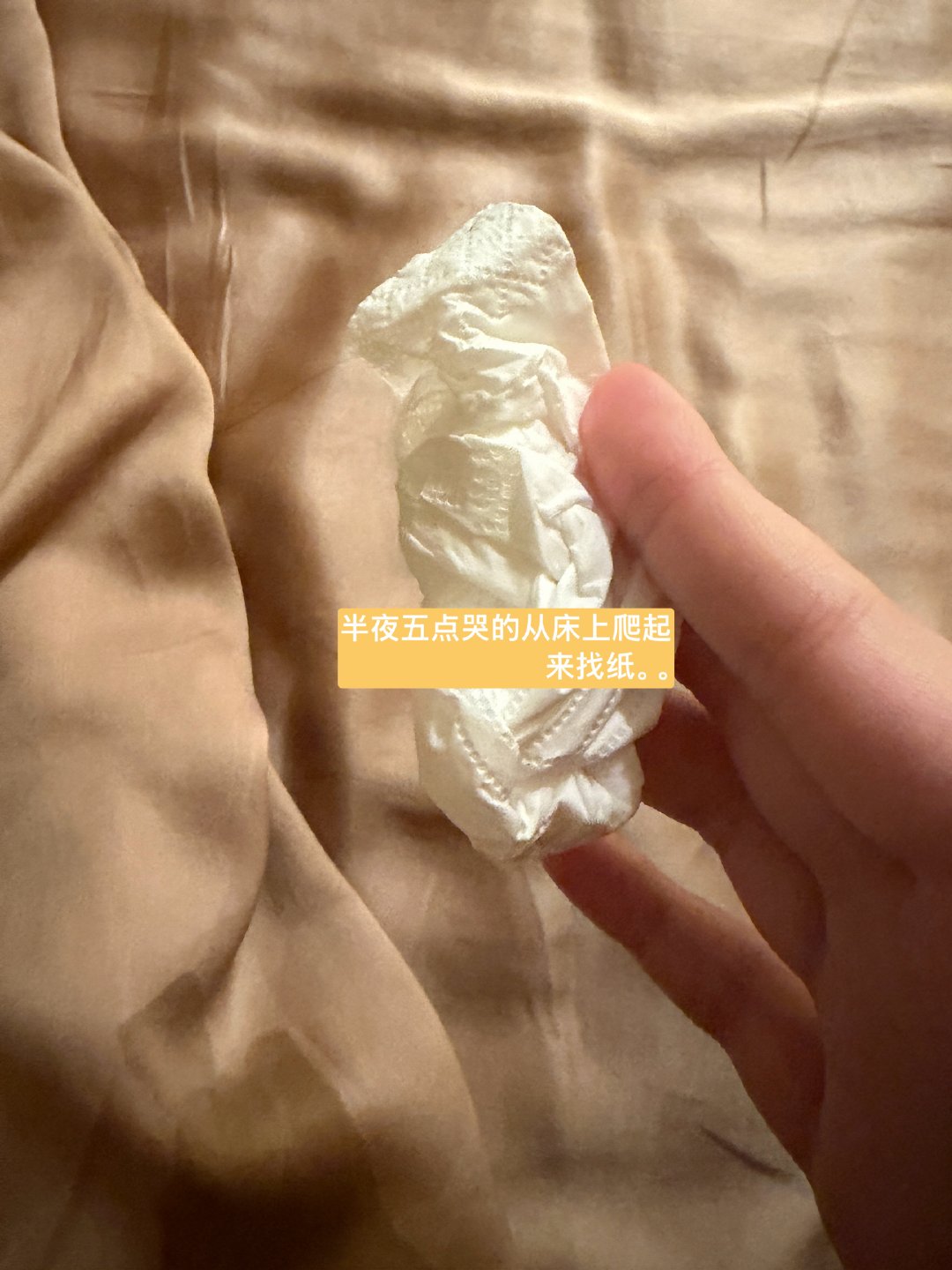 我只要看那种小幼猫视频就会一直哭。。觉得这个世界上怎么会有这么小这么可爱的生物。