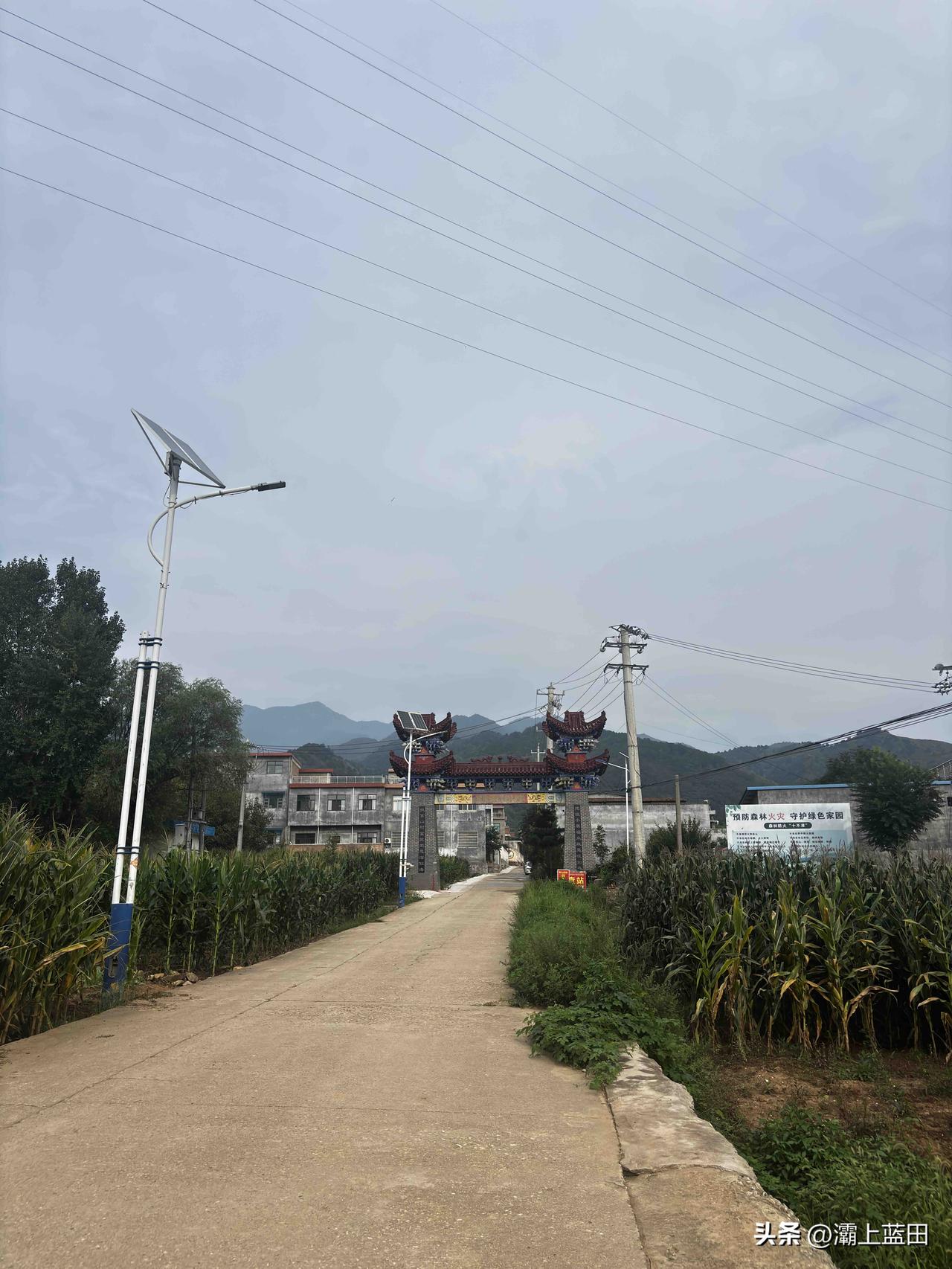 蓝田刘家山草甸，就是从这里进吧，这个草甸不高，平时可以上吧，不管控吧。