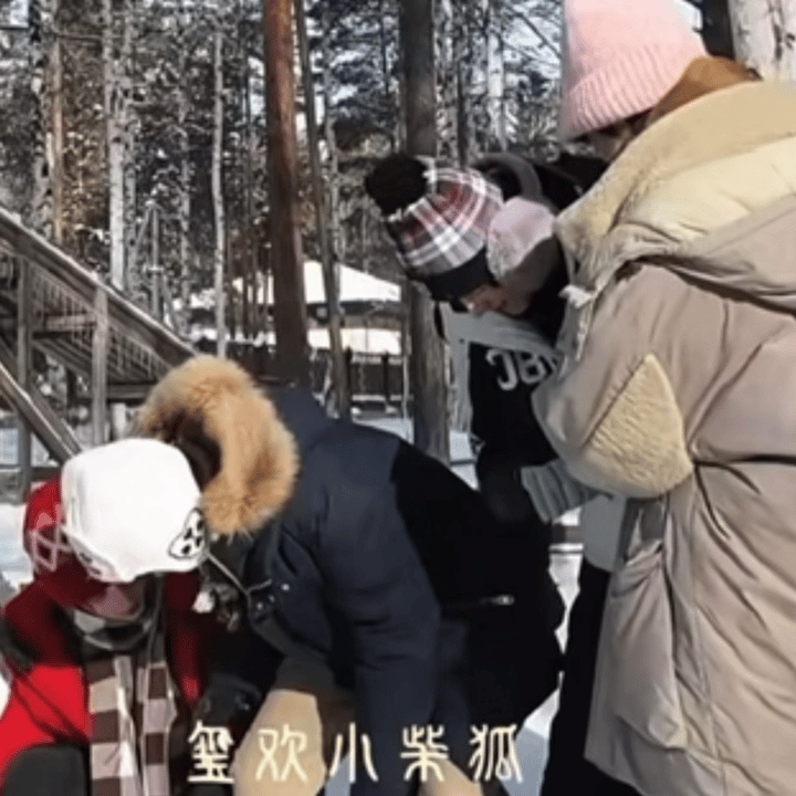 太萌了这段，俩人穿的辣么厚笨拙的坐下，祺祺手放在盆儿那盆儿就顺势挽上哥哥手臂 