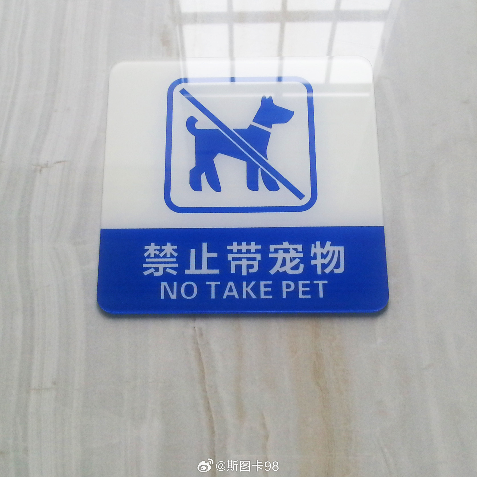 重庆一博物馆设停狗处3月20日，重庆观音桥辣条博物馆开馆，贴心设置宠物停靠区，配