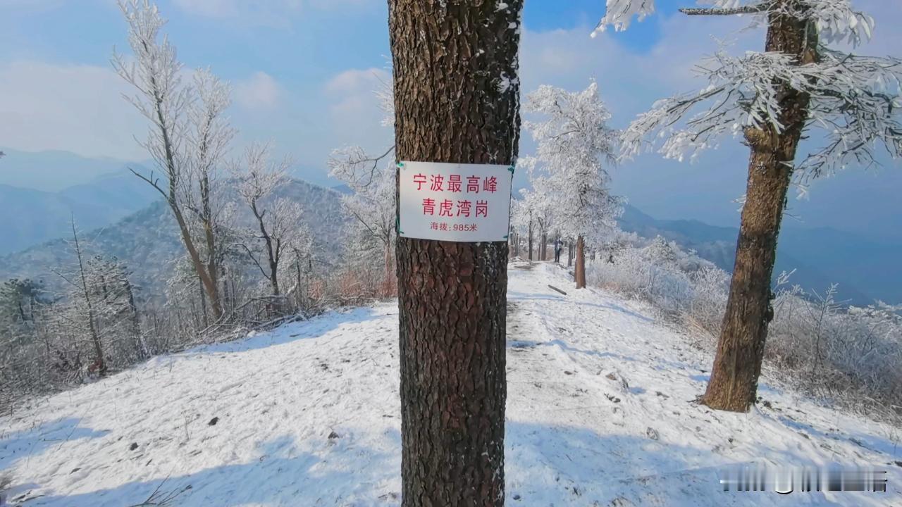 浙江省宁波市内的最高点海拔高度为985米。
​但是市内某景点，实际海拔940多米