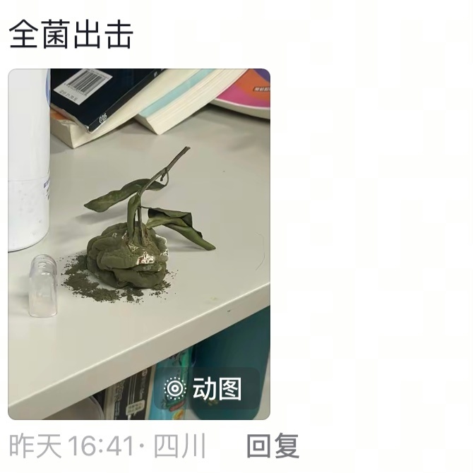 当你返校时第一个到宿舍将会获得[允悲] 