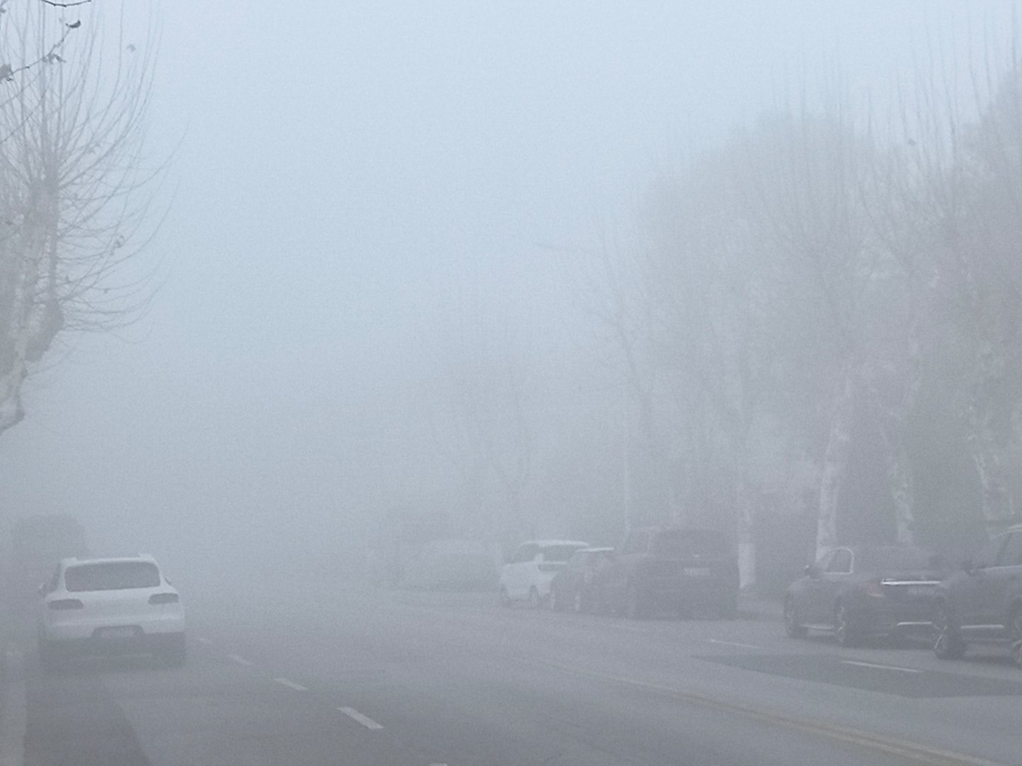 今日之上海寂静岭 