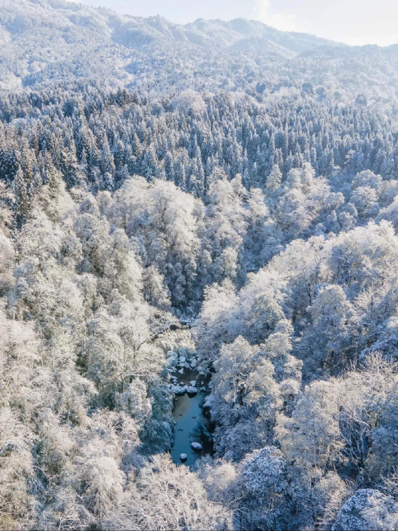 没看到龙苍沟的枫叶，那不如来一场雪吧