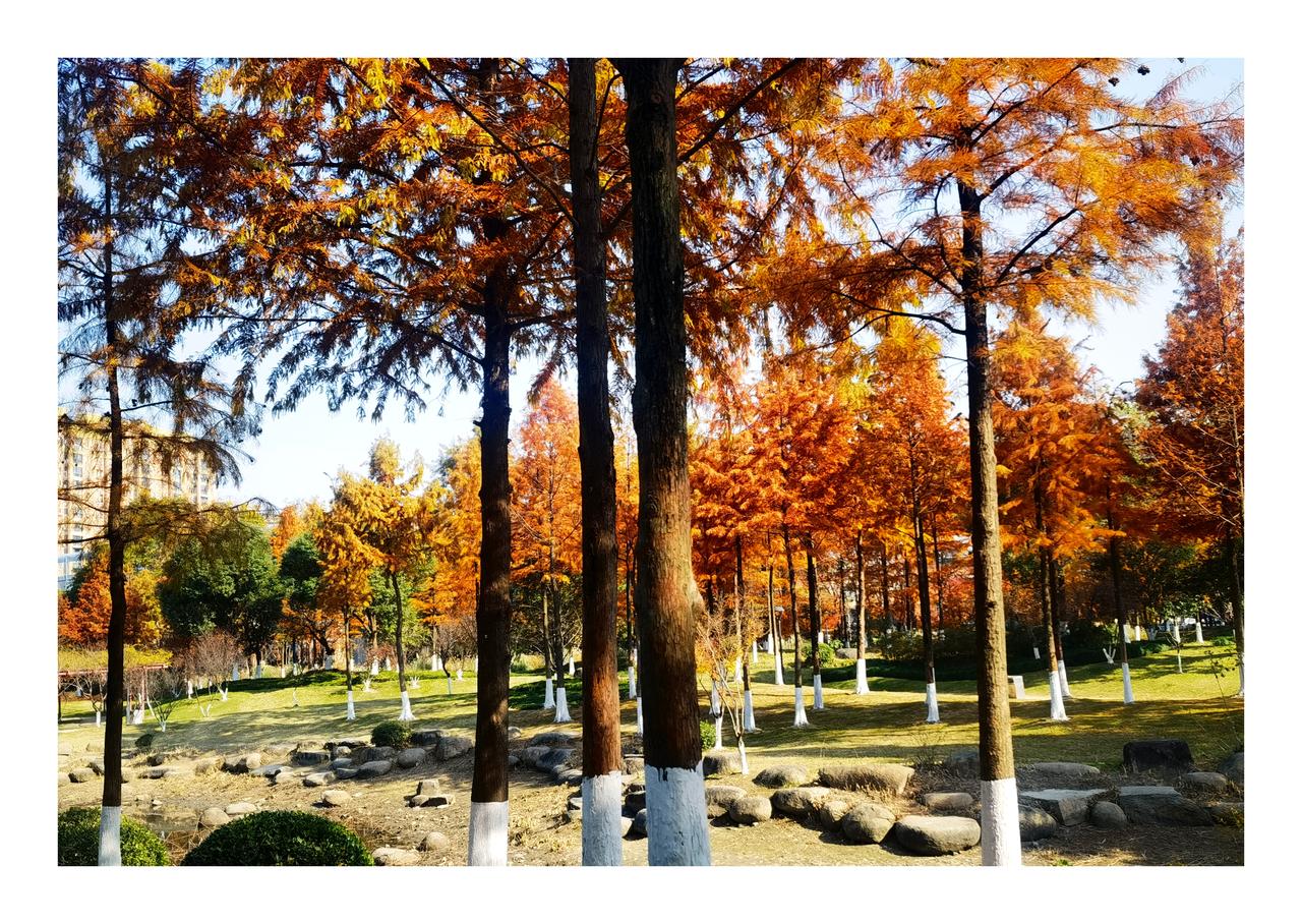 江南冬至的色彩