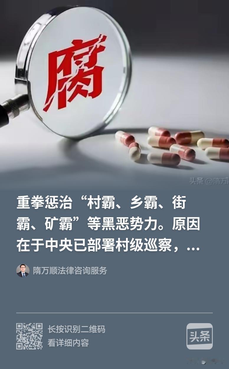 重拳惩治“村霸、乡霸、街霸、矿霸”等黑恶势力。先打保护伞！