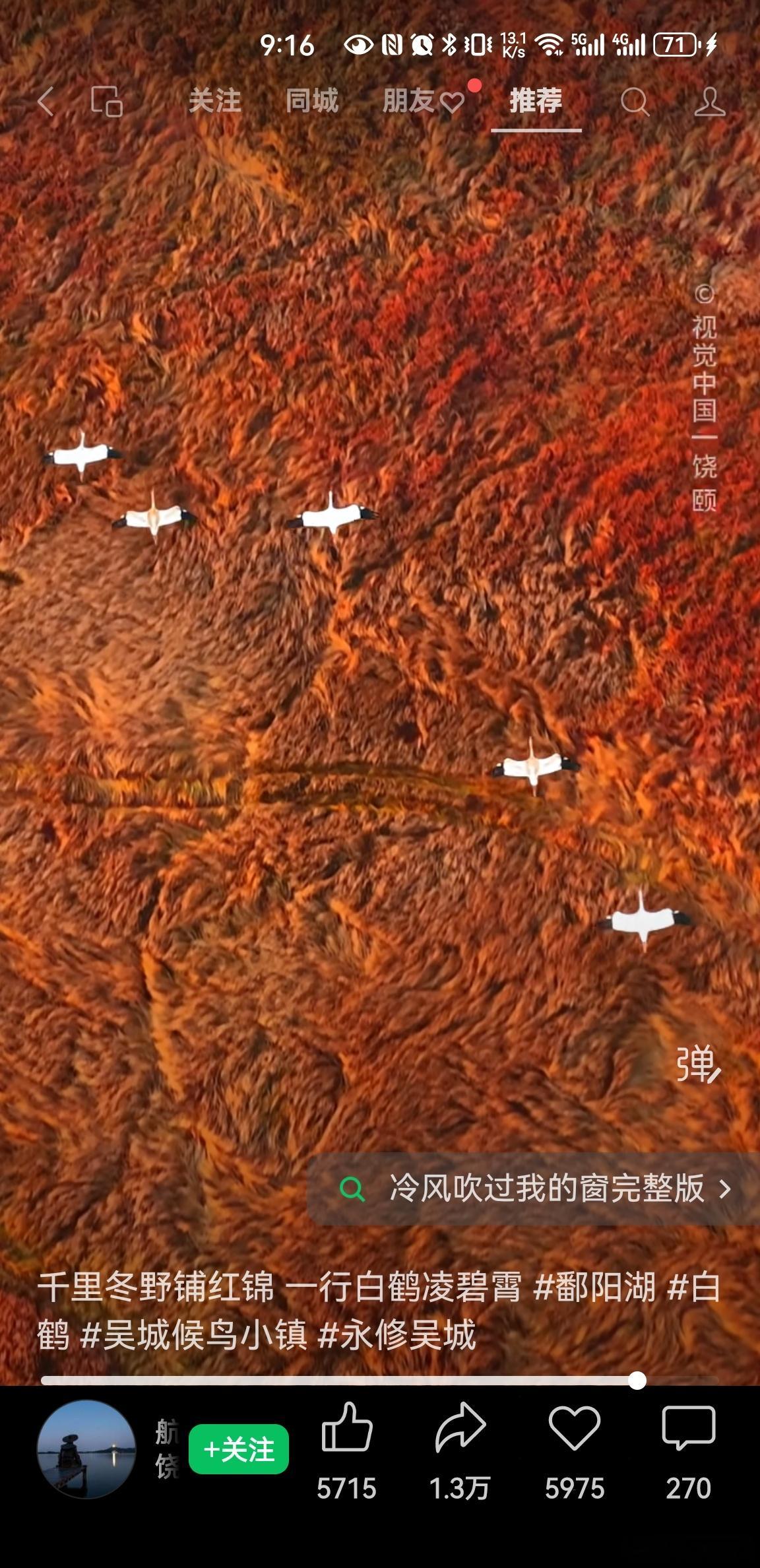 生命的意义日子是一页页撕着过的，多数时候潦草，风一吹就散了。人活一世，草木一秋，